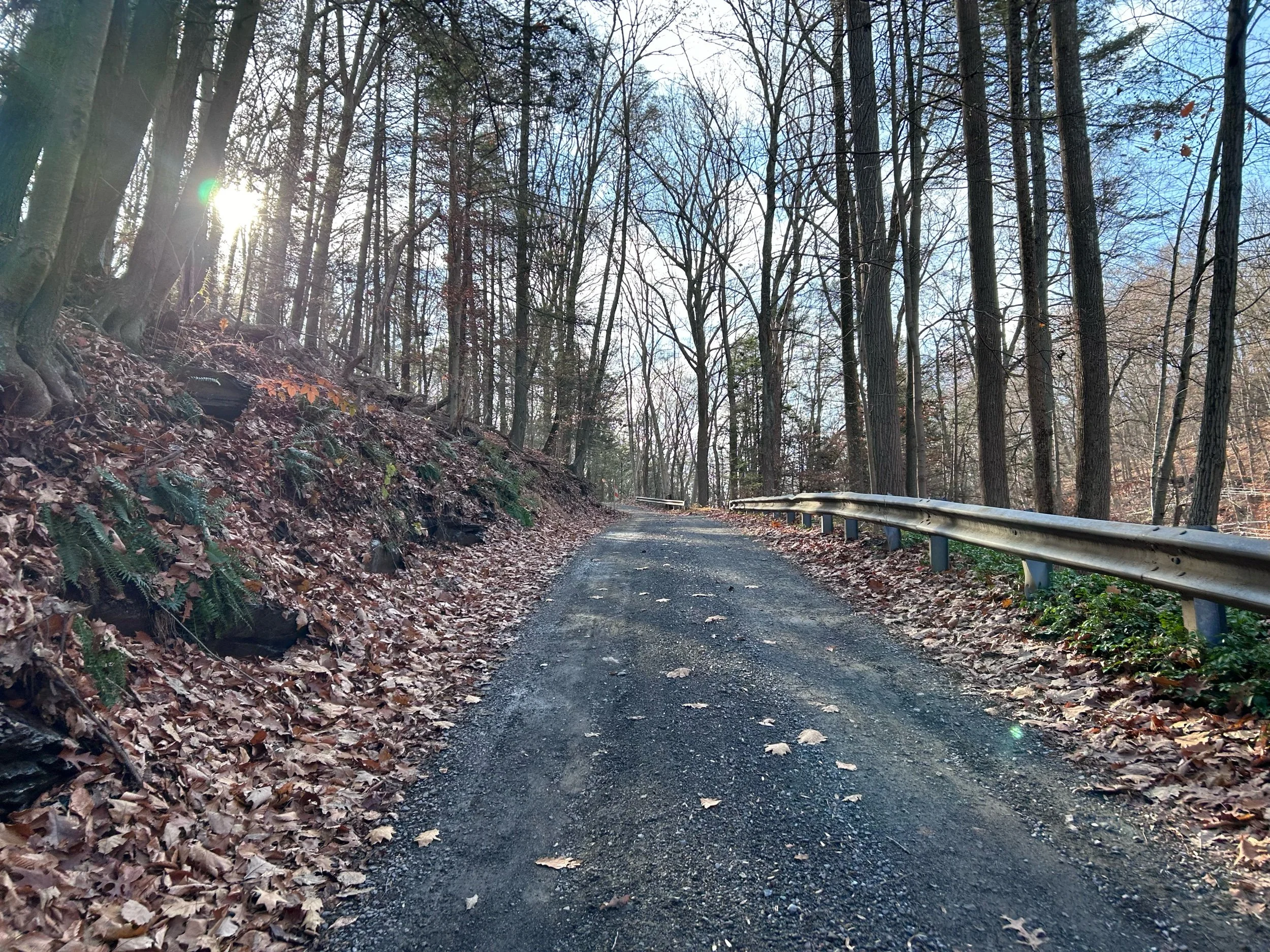 Rides We Like: REI’s #optoutside 2023 Campaign