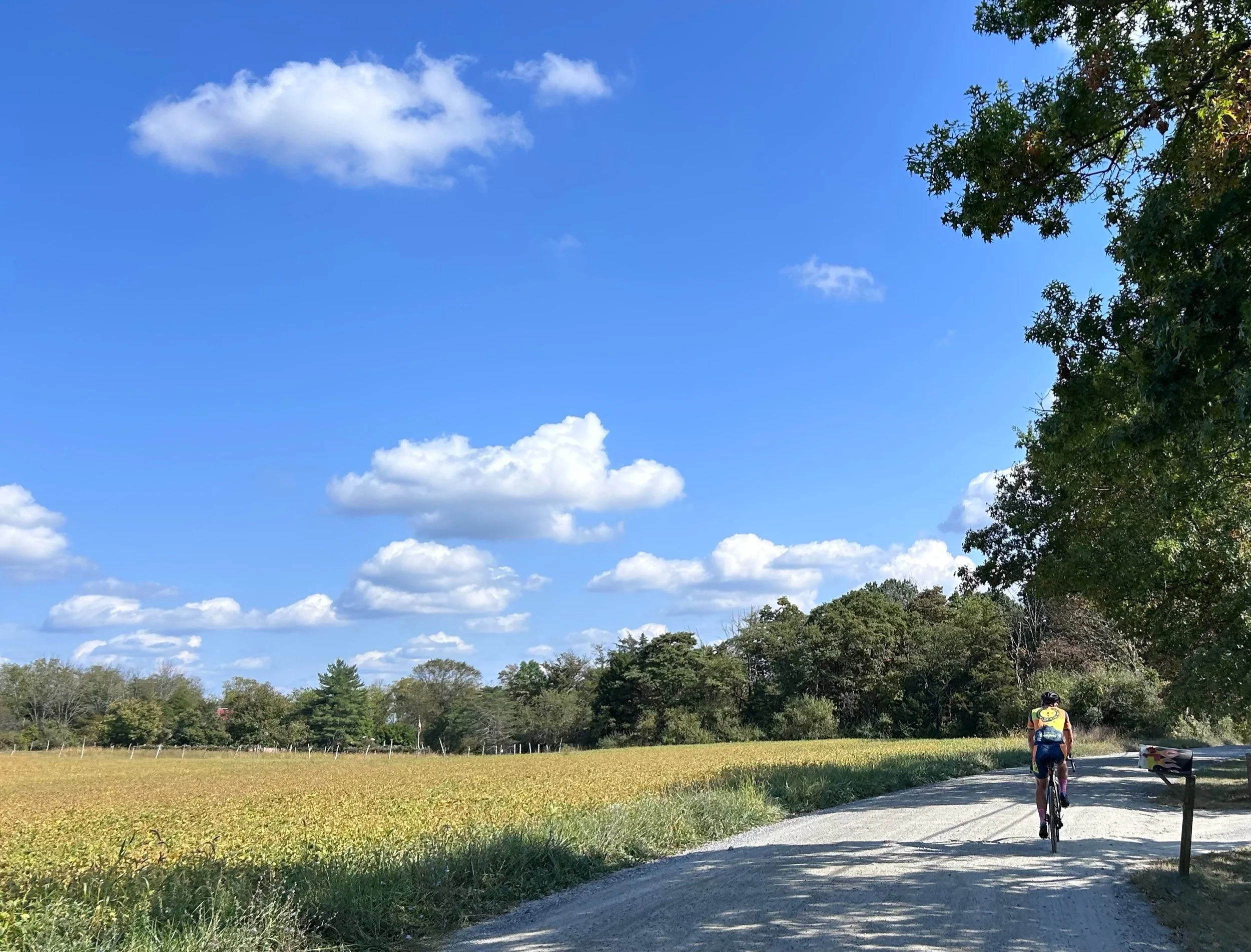 Essay: On the Reminiscent Ride