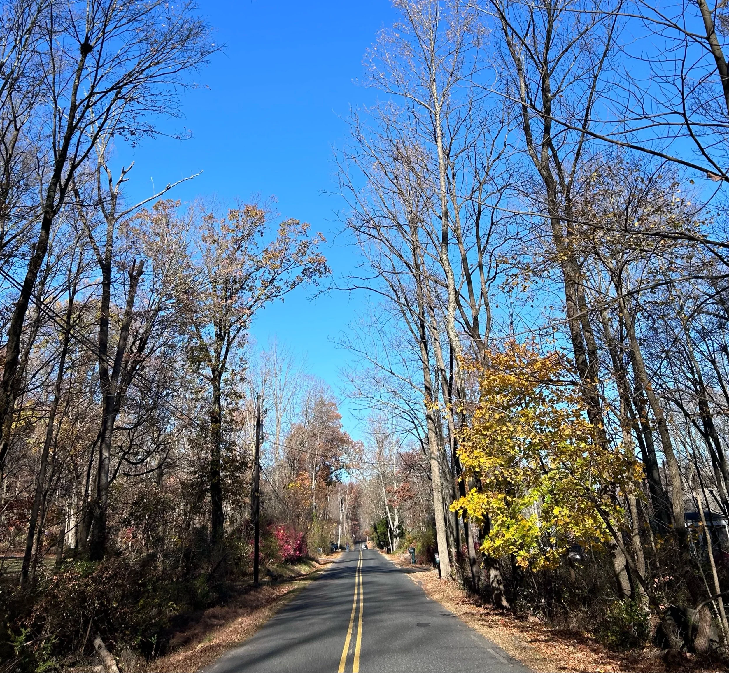 Events: Guy Fawkes Ride 2024