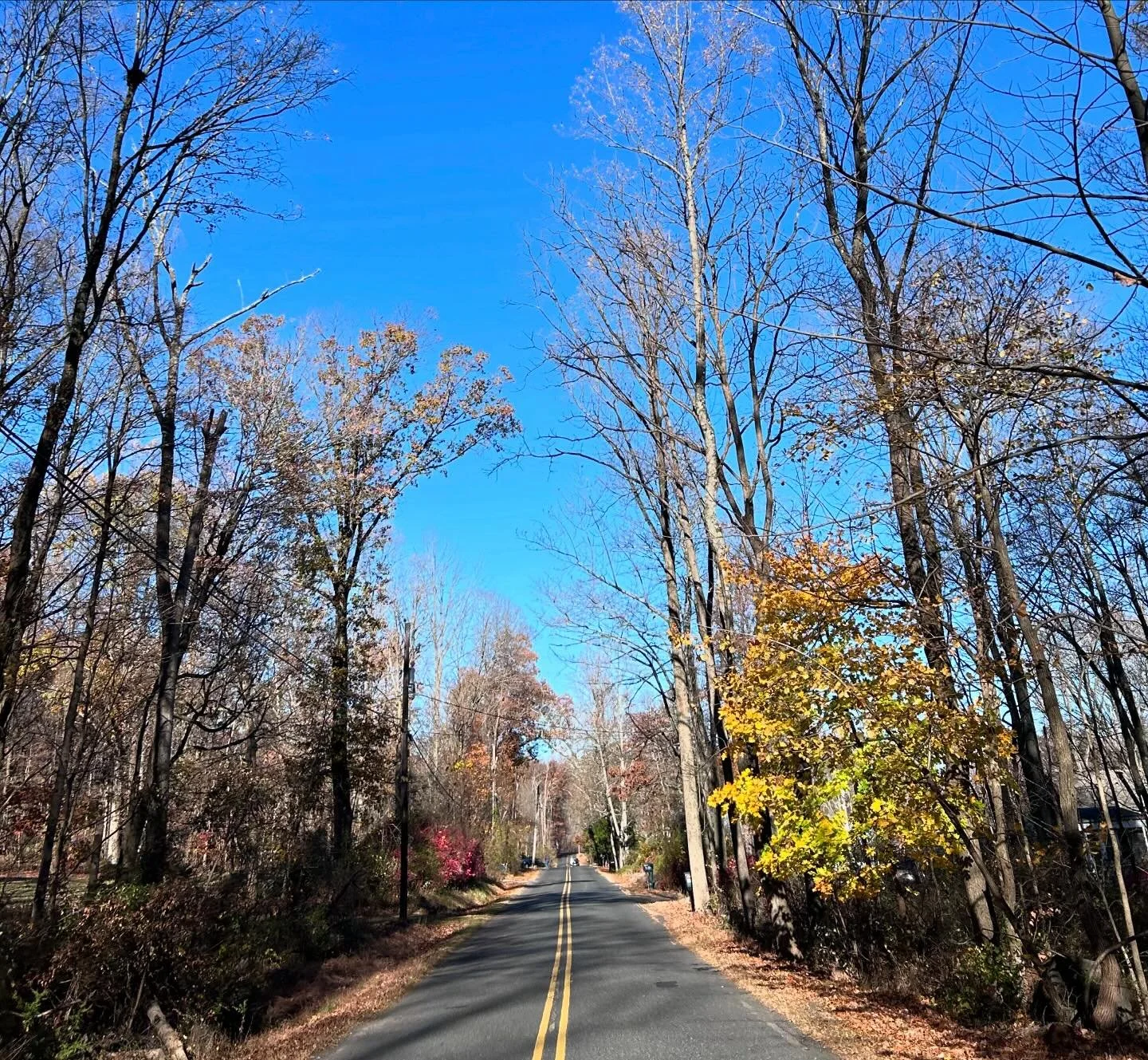 We just posted our notes on the 2024 Guy Fawkes Ride  presented by @kermessesport on creakybottombracket.com. This shorter ride has always been a great way to close out the road riding season. One of the best parts is the post-ride libations at @buck