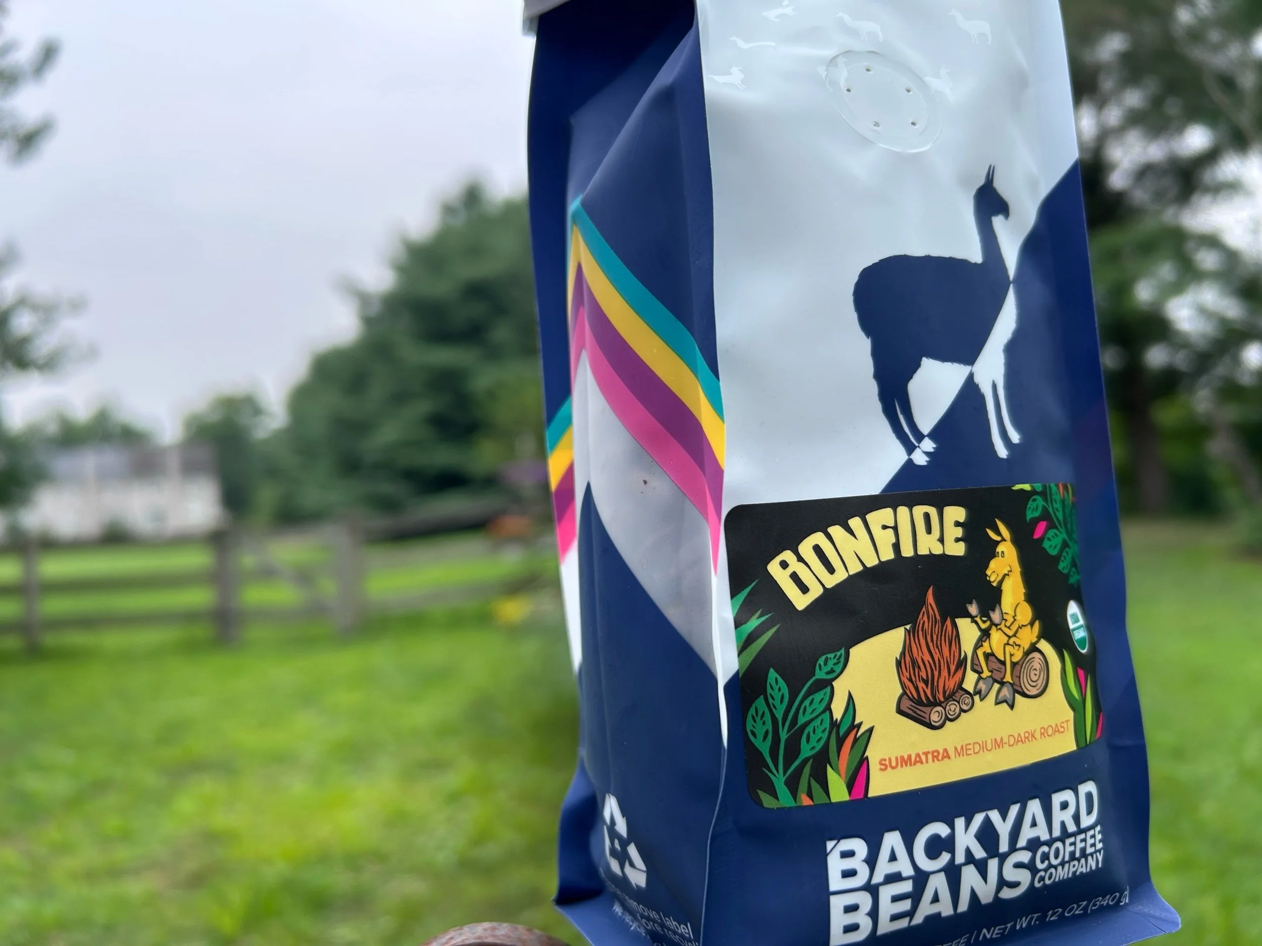 Review: Backyard Beans’ Bonfire