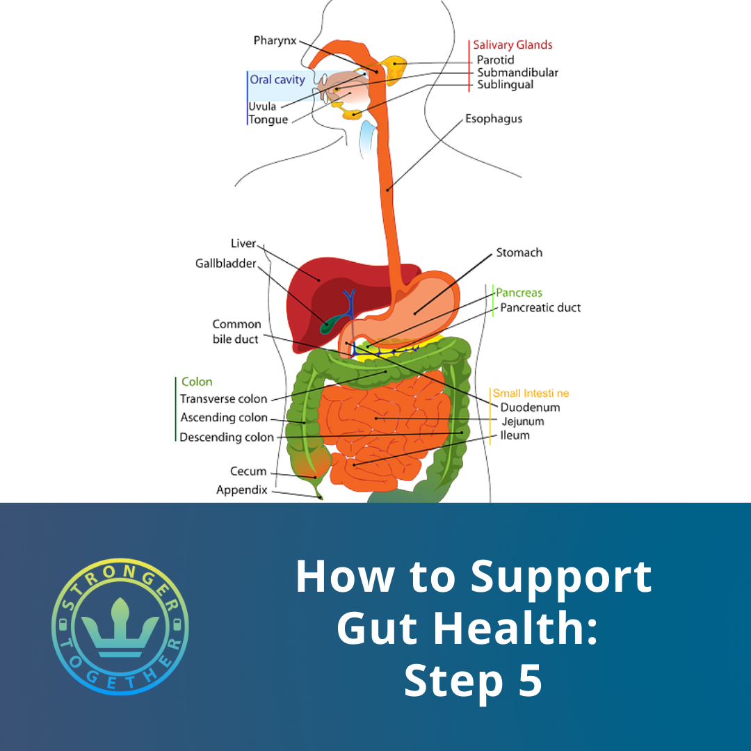 How to Support Gut Health: Step 5