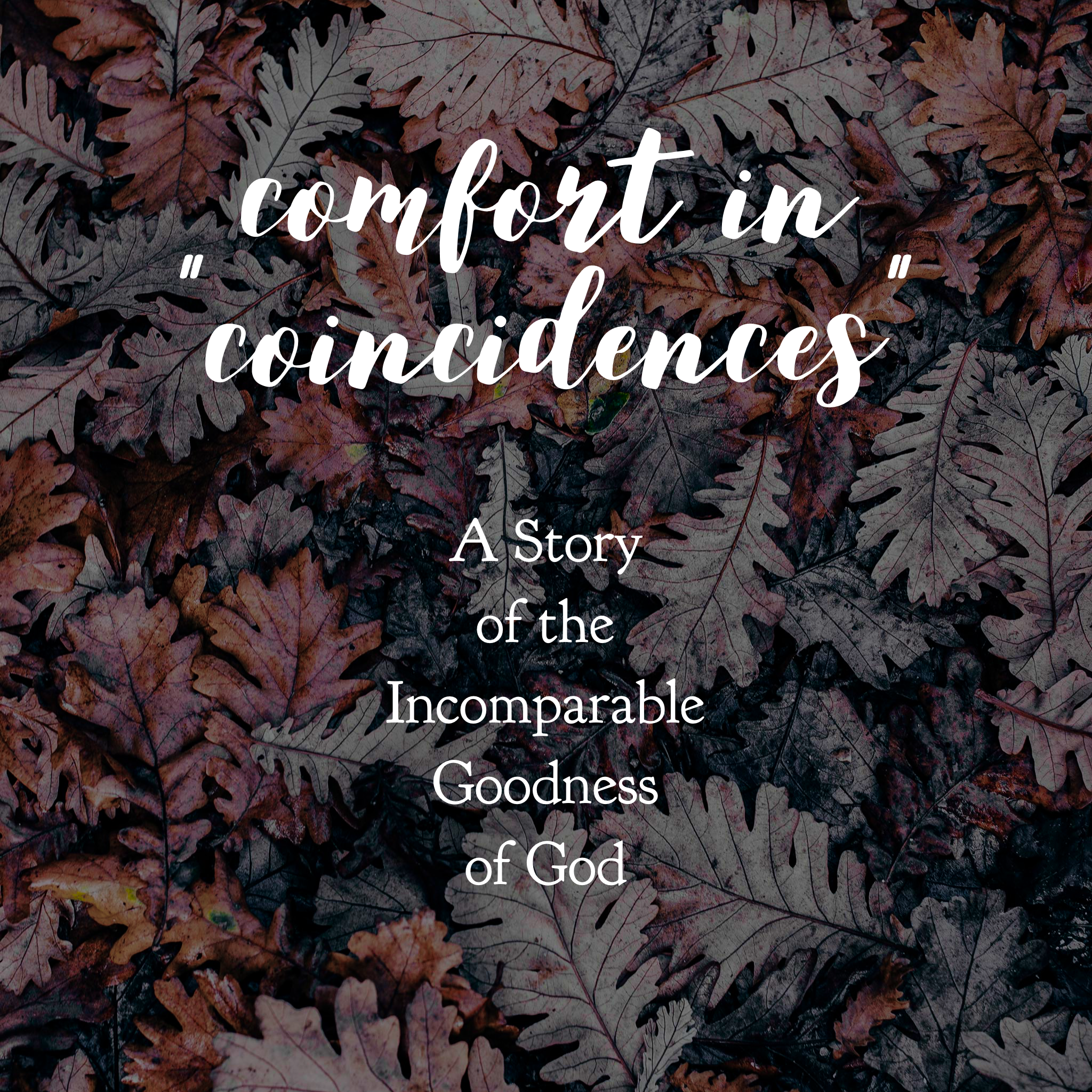 Comfort in “Coincidences”: A Story of the Incomparable Goodness of God - From Diana