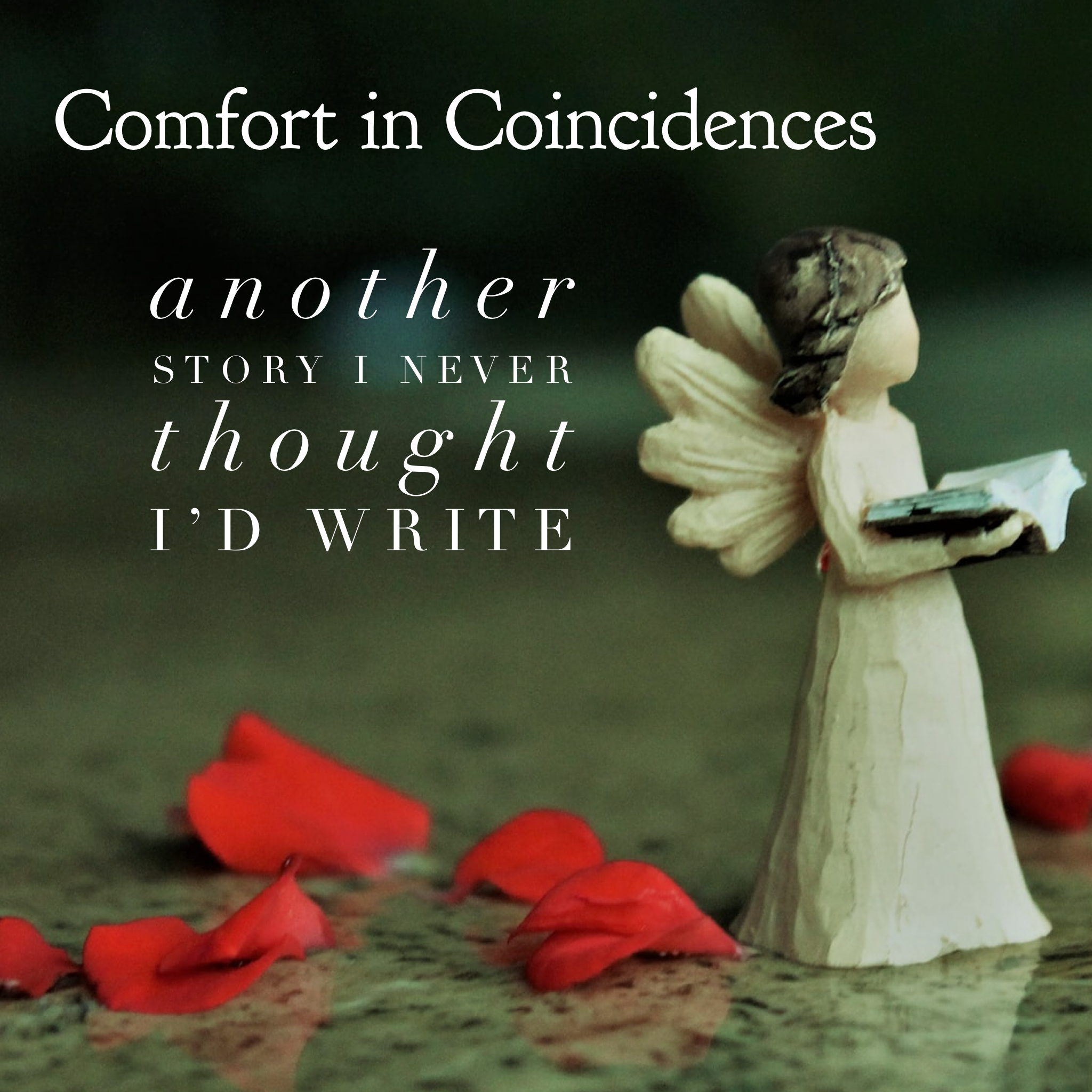 Comfort in Coincidences – Part III: Another Story I Never Thought I’d Write