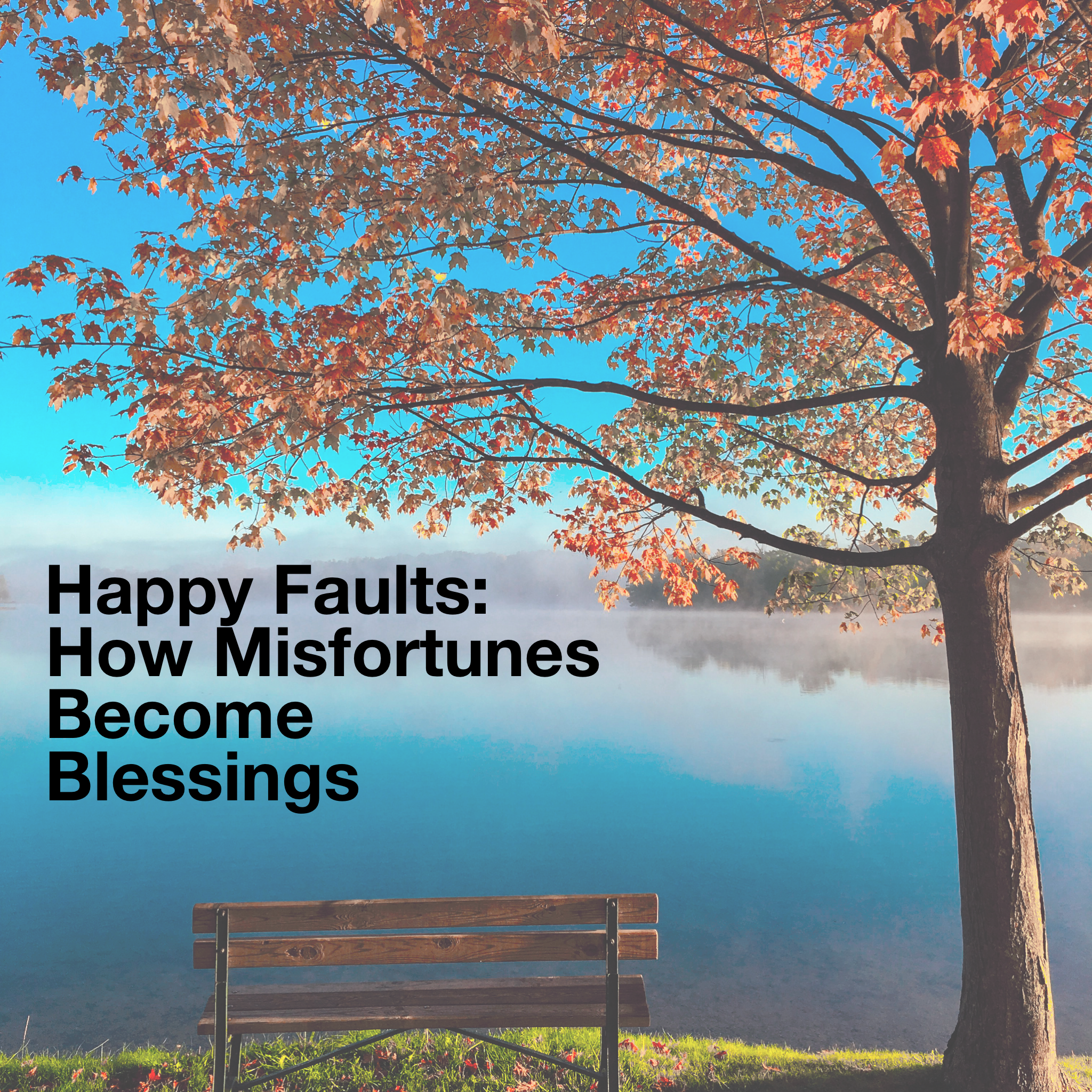 Happy Faults