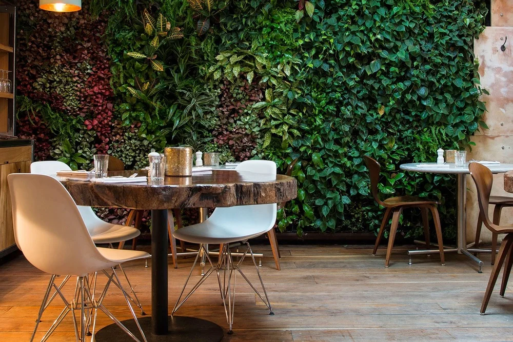 Review: Karpo, Kings Cross