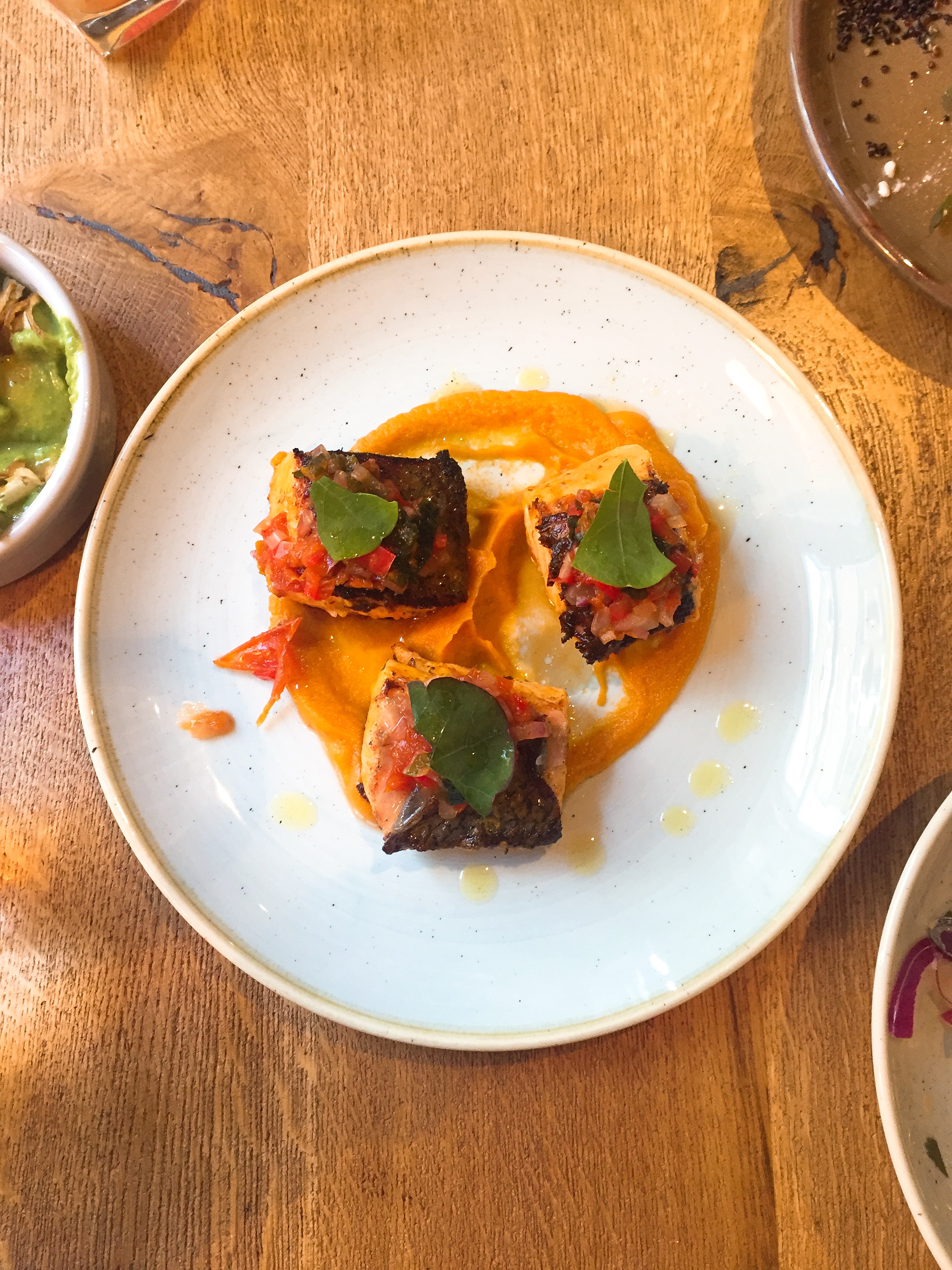 Casita Andina restaurant review salmon