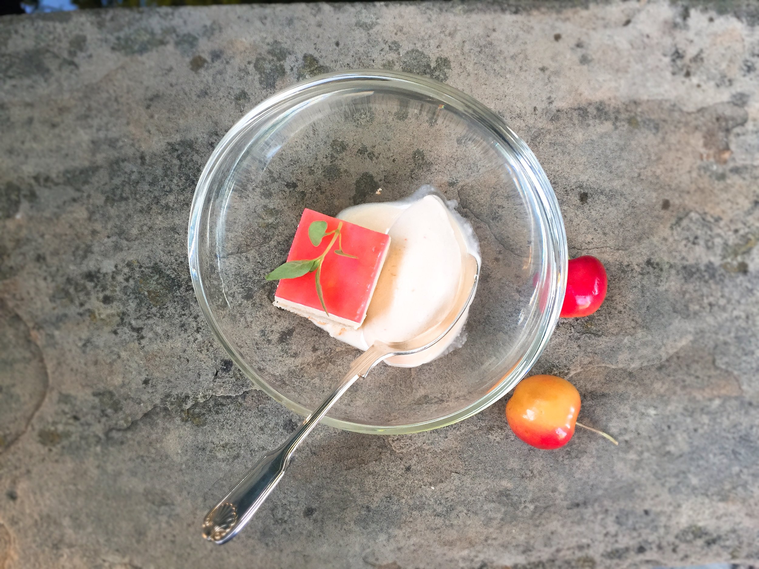 Rainier Cherry sorbet