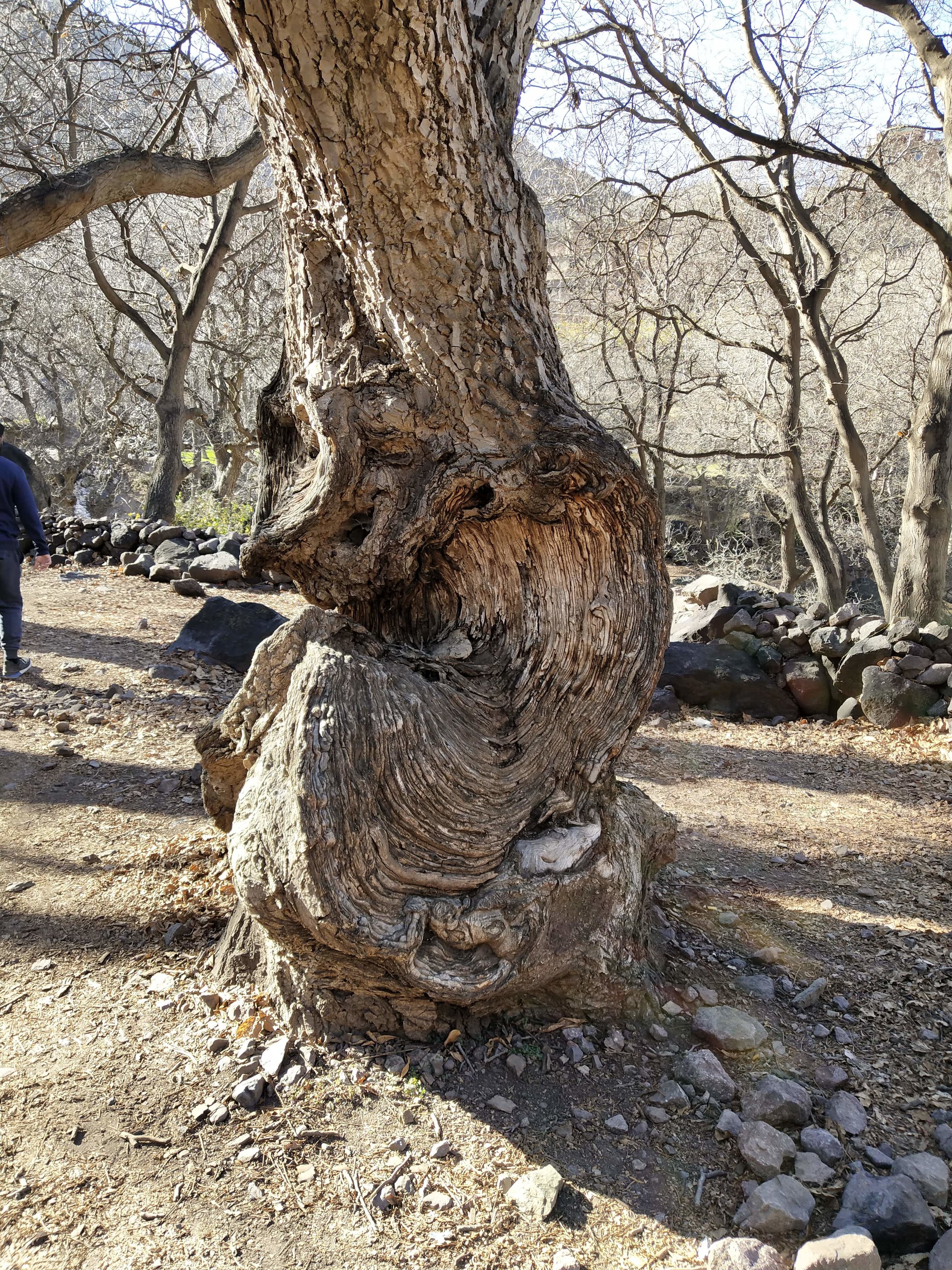 Trecking in Imlil