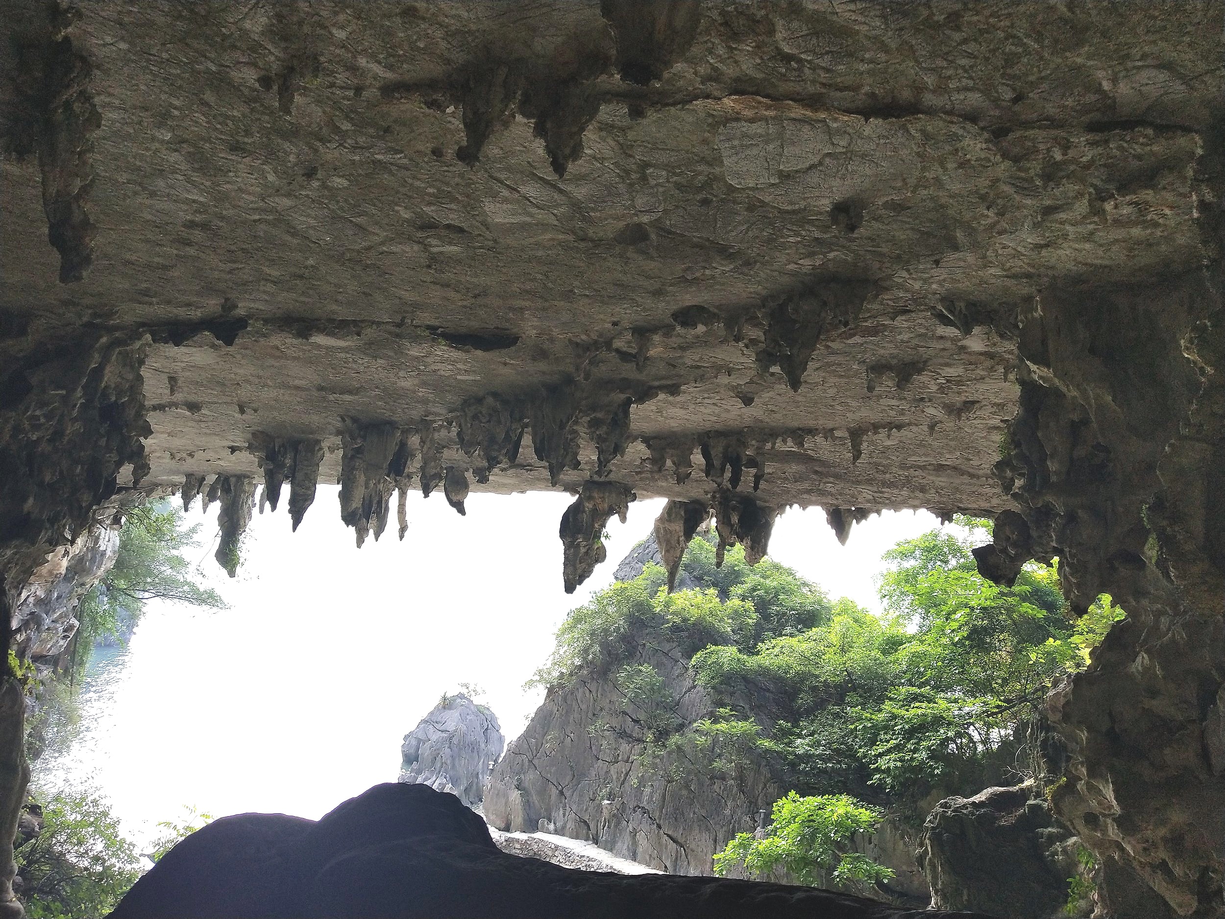 Ha Long Bay Bhaya Cruise Review