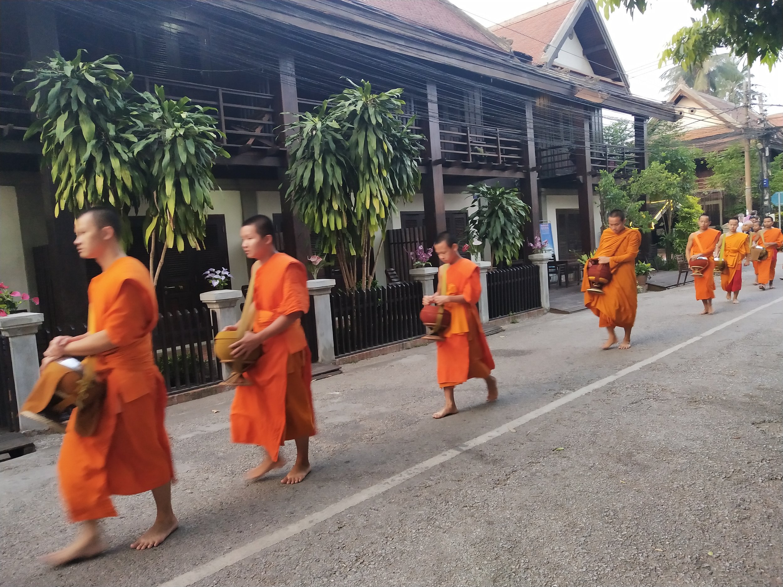 Luang Prabang temples monks