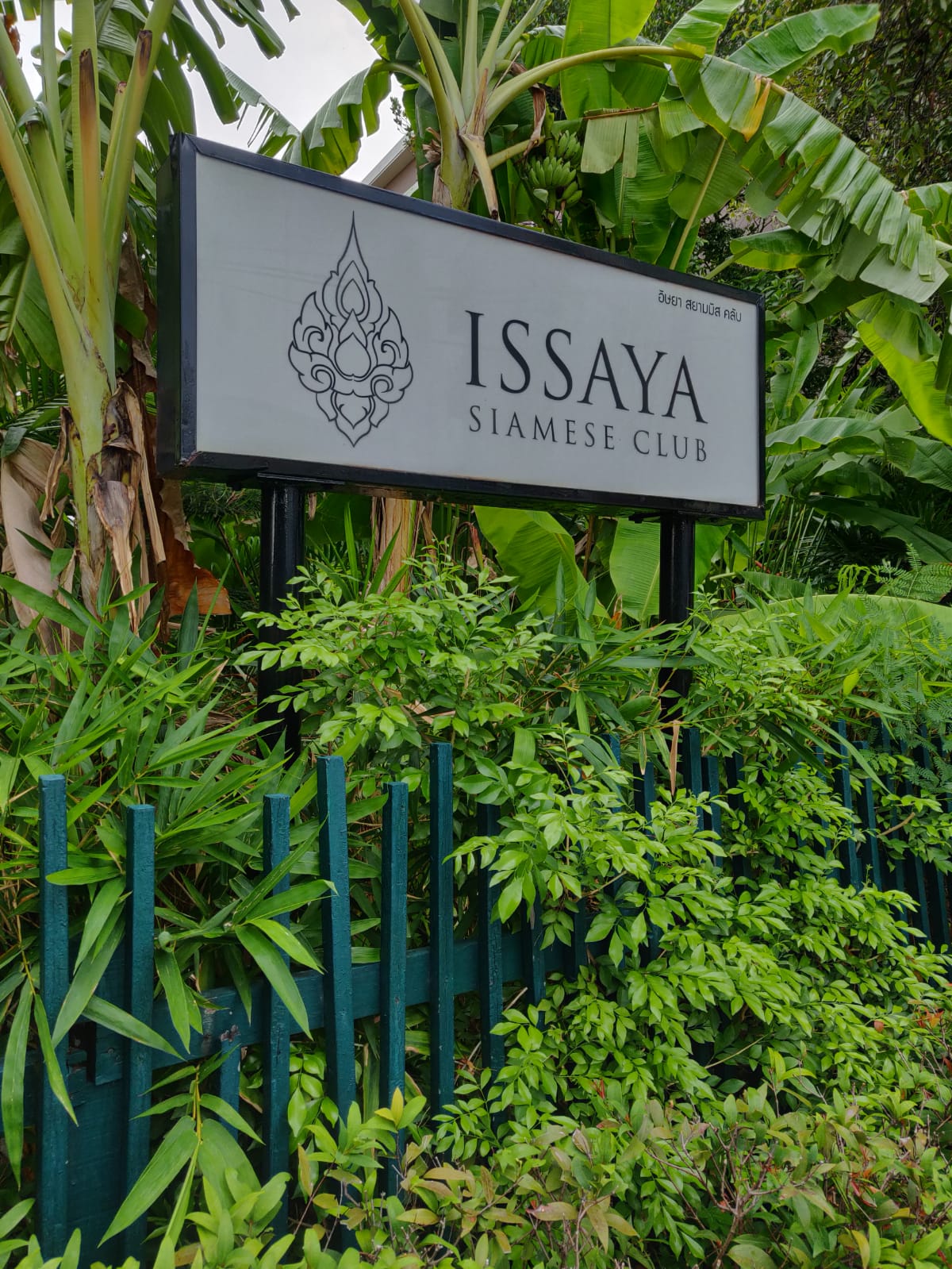 Issaya Siamese Club Bangkok review