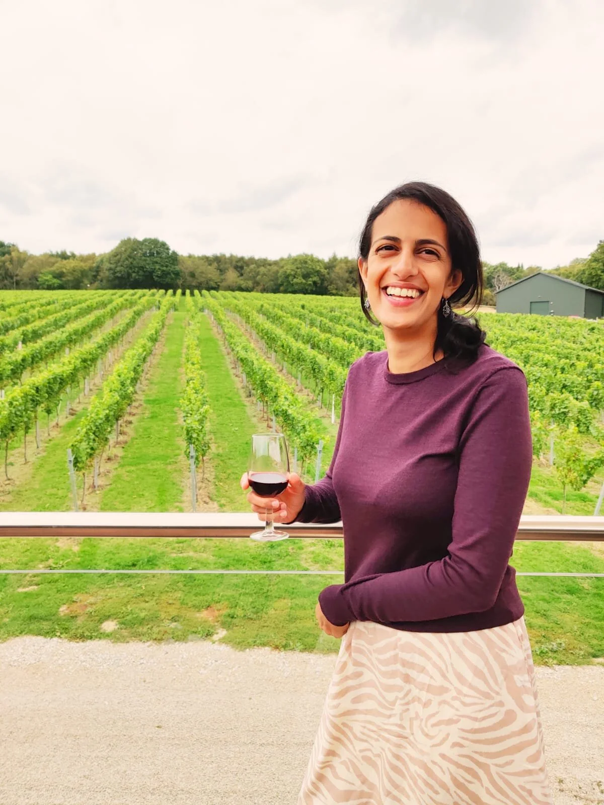 Vineyard Tour &amp; Wine Tasting at Bolney Wine Estate, Sussex
