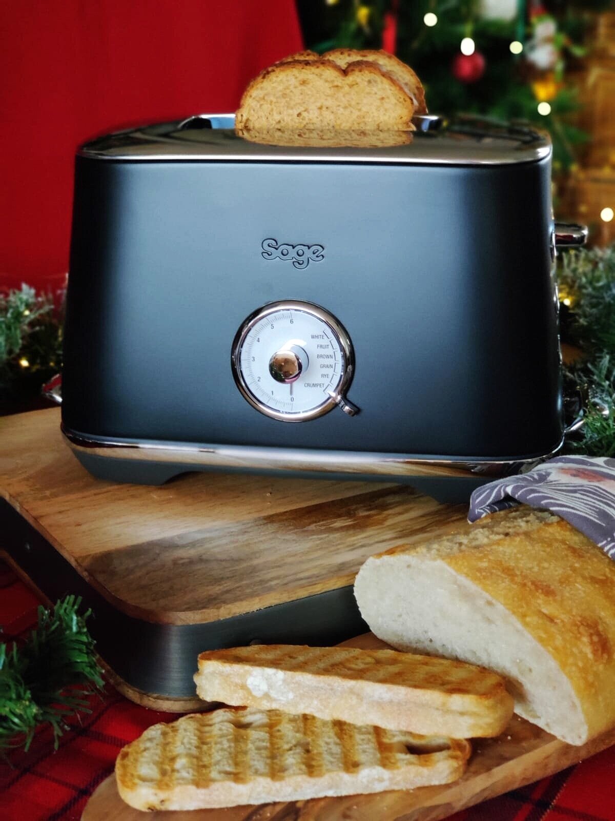 sage toaster