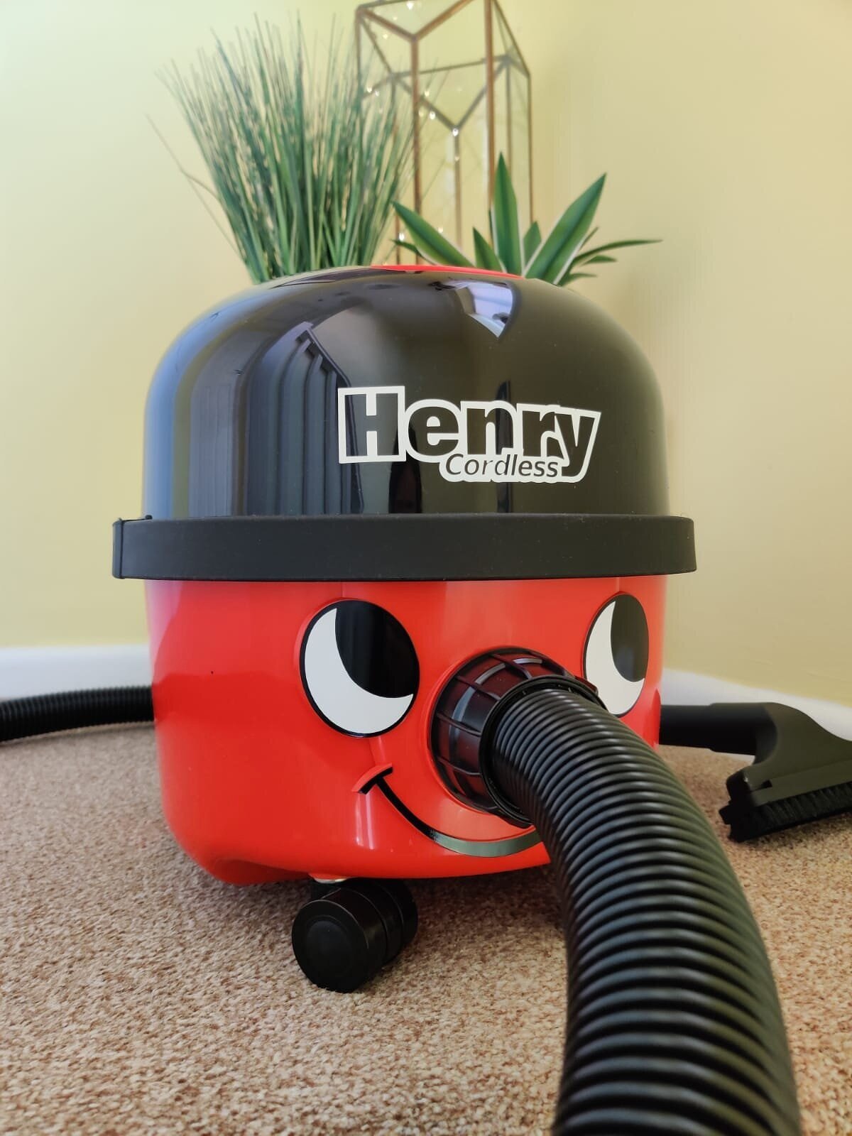Fun Facts About Henry The Vacuum Cleaner - Janitorial Direct