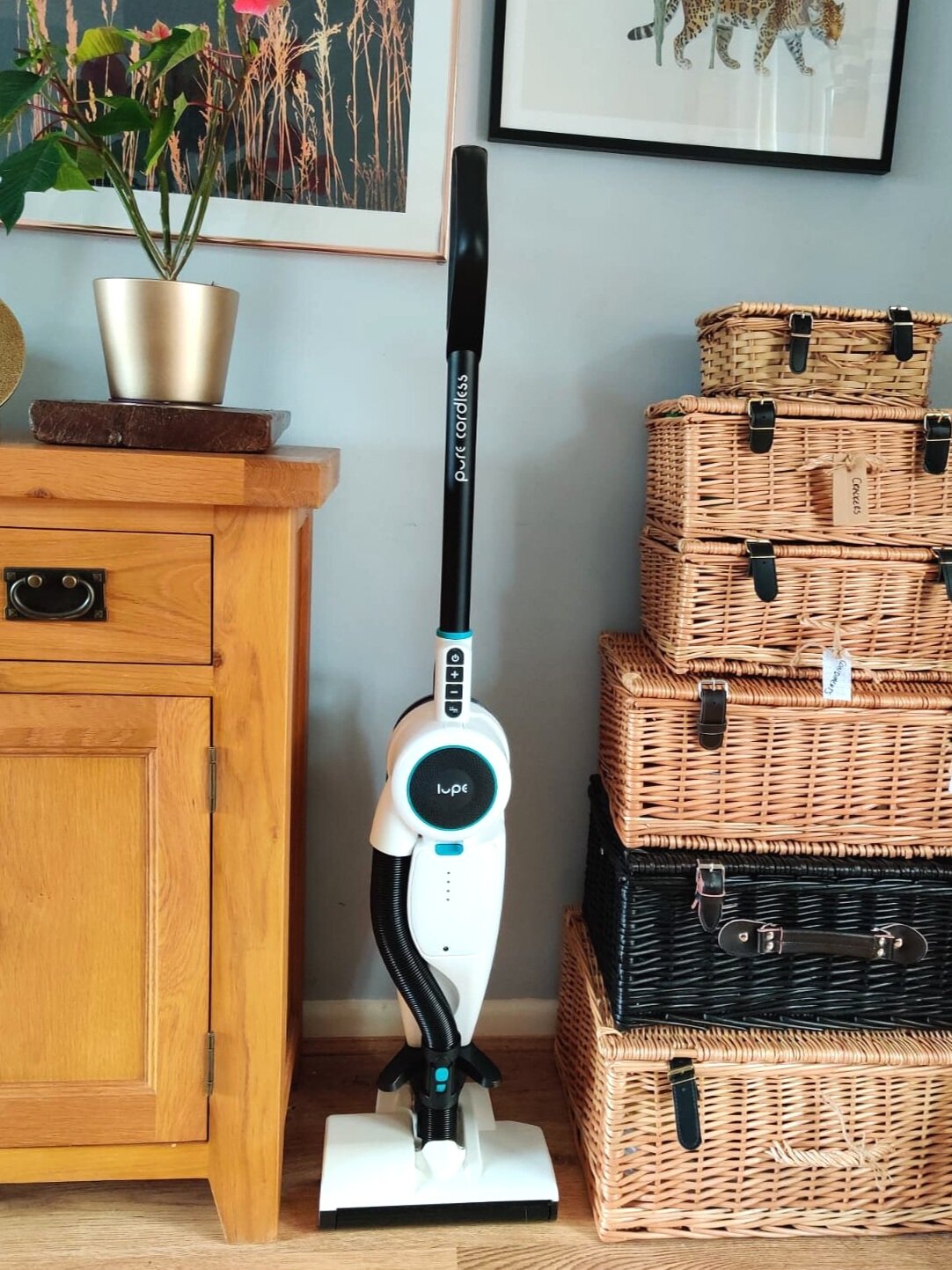 Lupe Pure Cordless Vacuum Review: Noisy but Capable