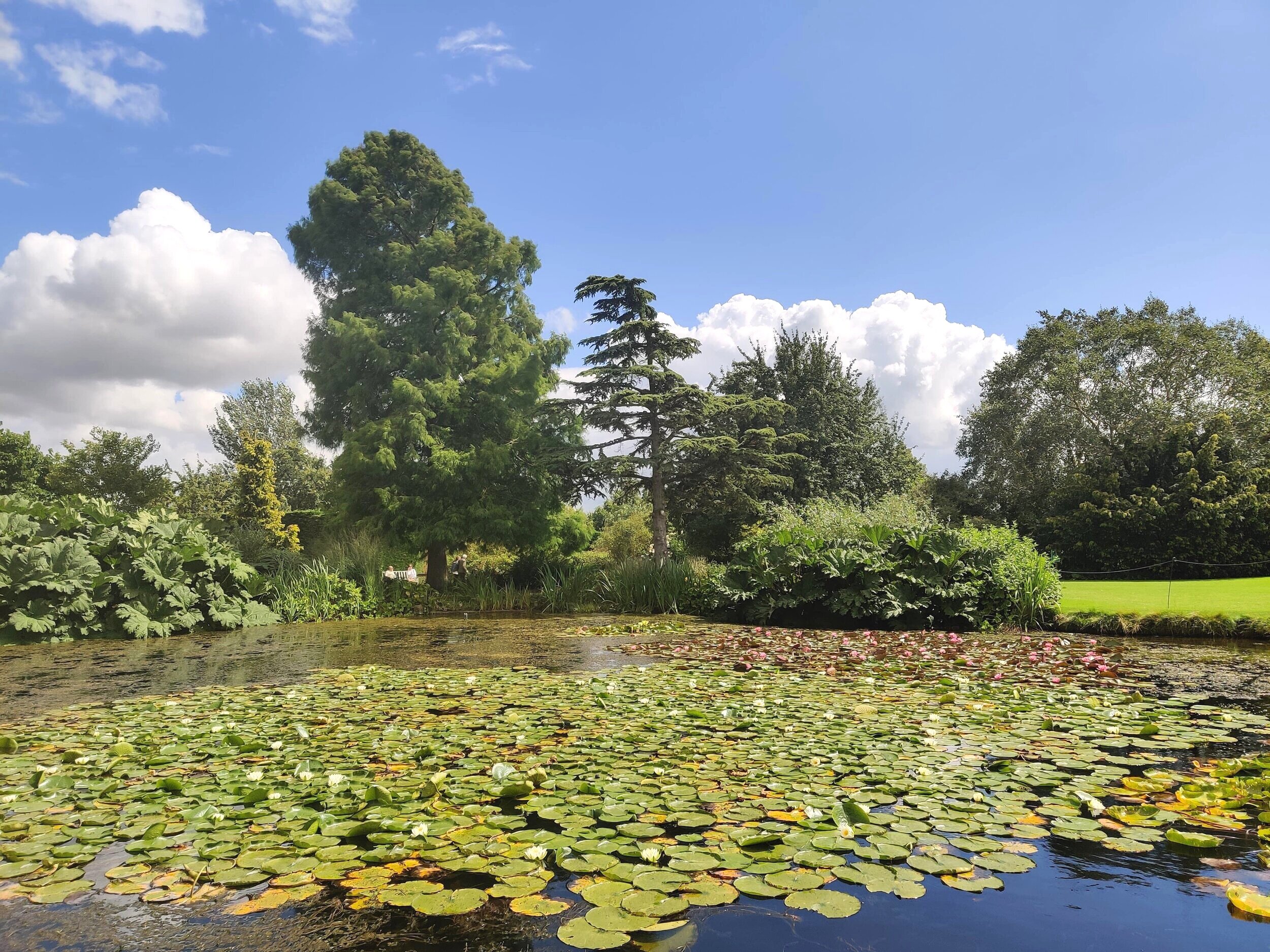 RHS Hyde Hall