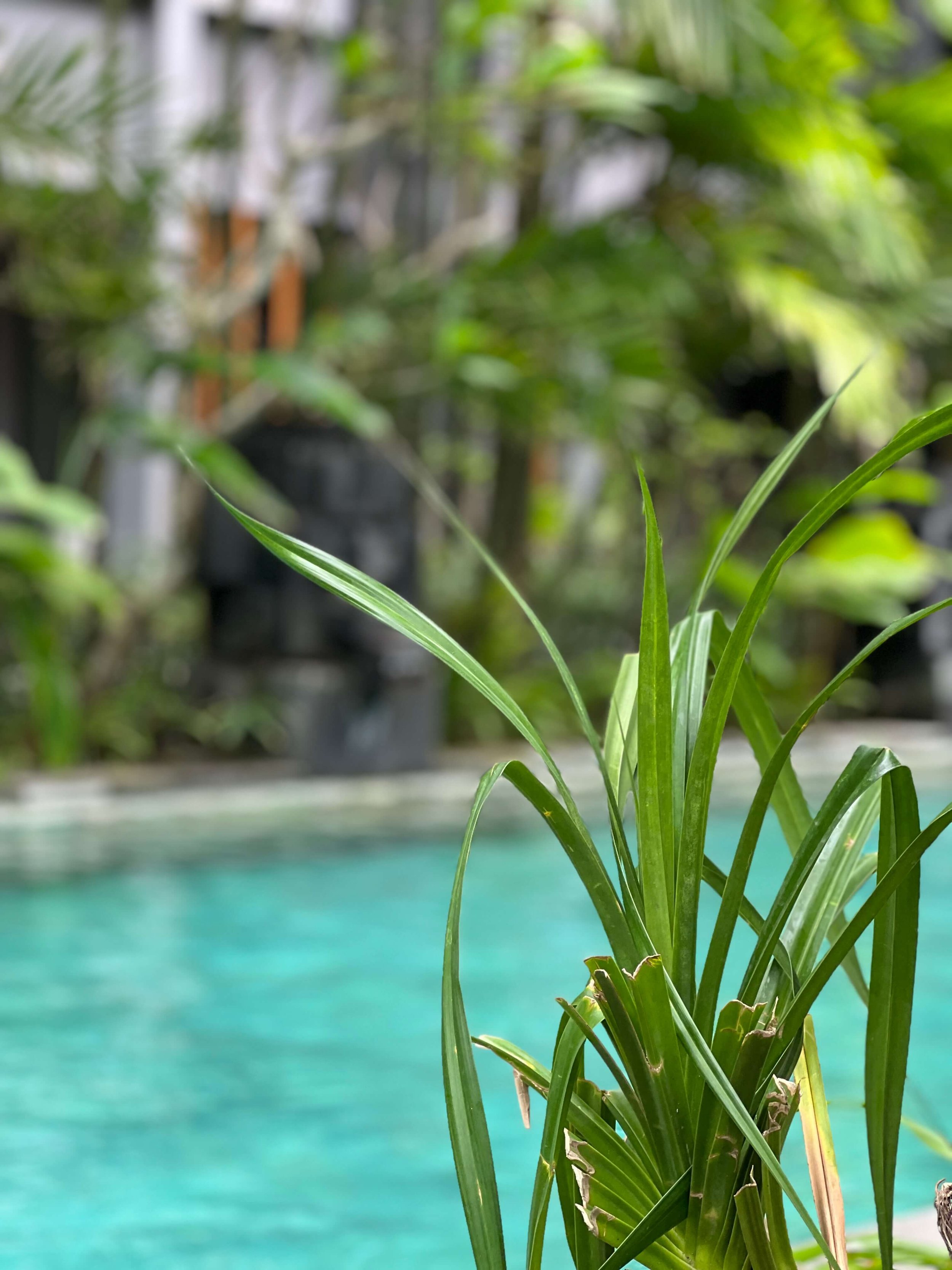 Hotel Indigo Bali