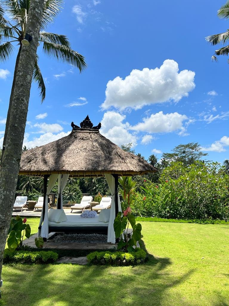 Viceroy Bali Review