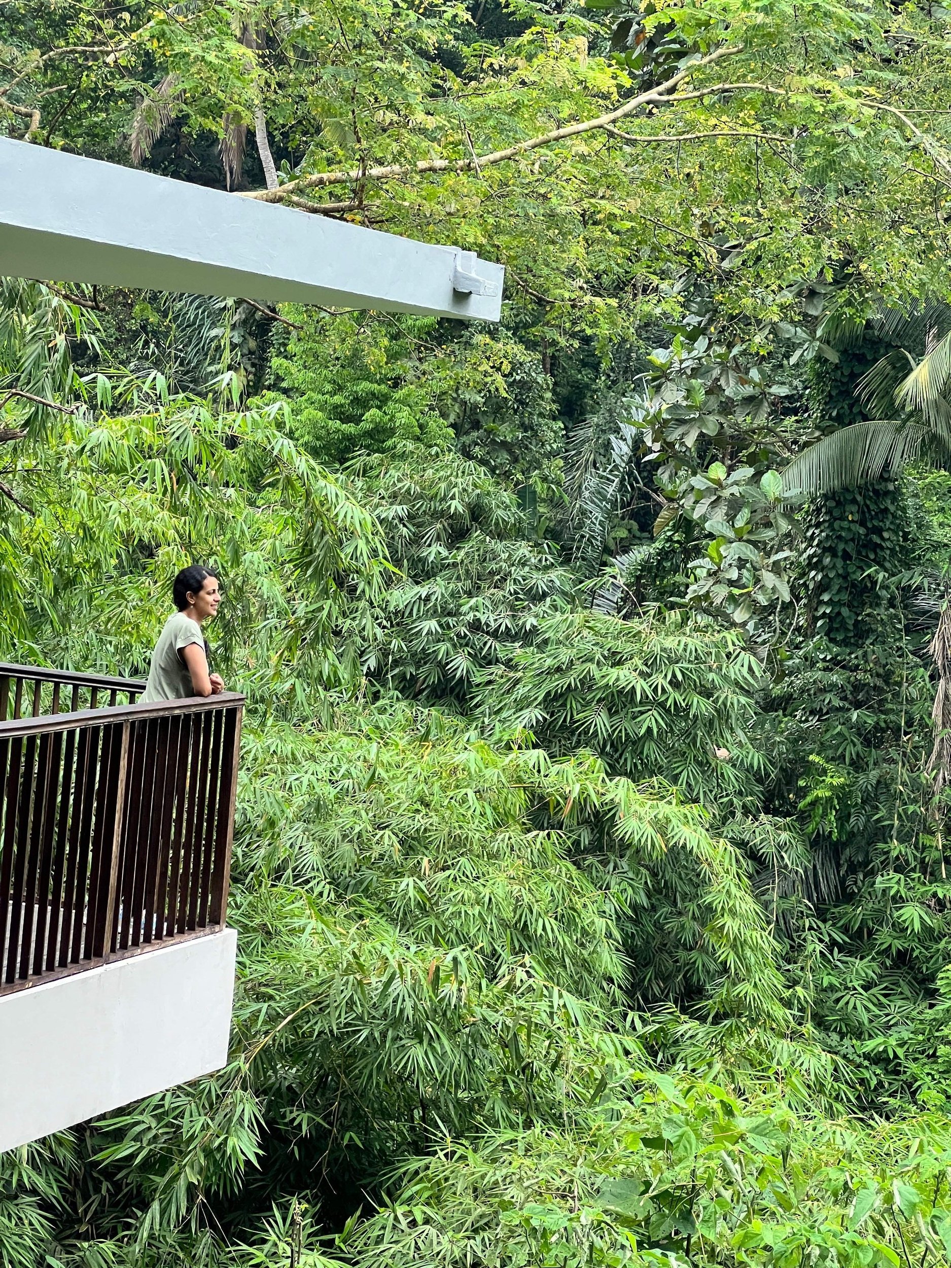 Alila Ubud Hotel Review