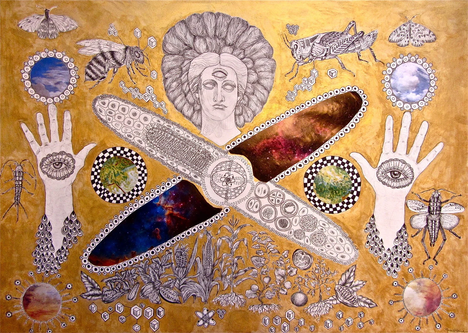 Europe at the Crossroads.jpeg