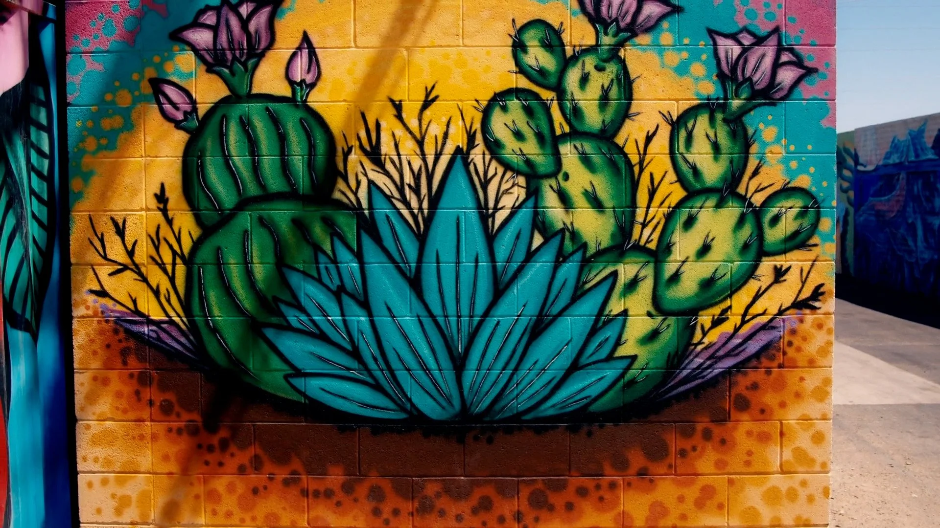 Jesse Perry: Southwest Street Artist  PlantPop