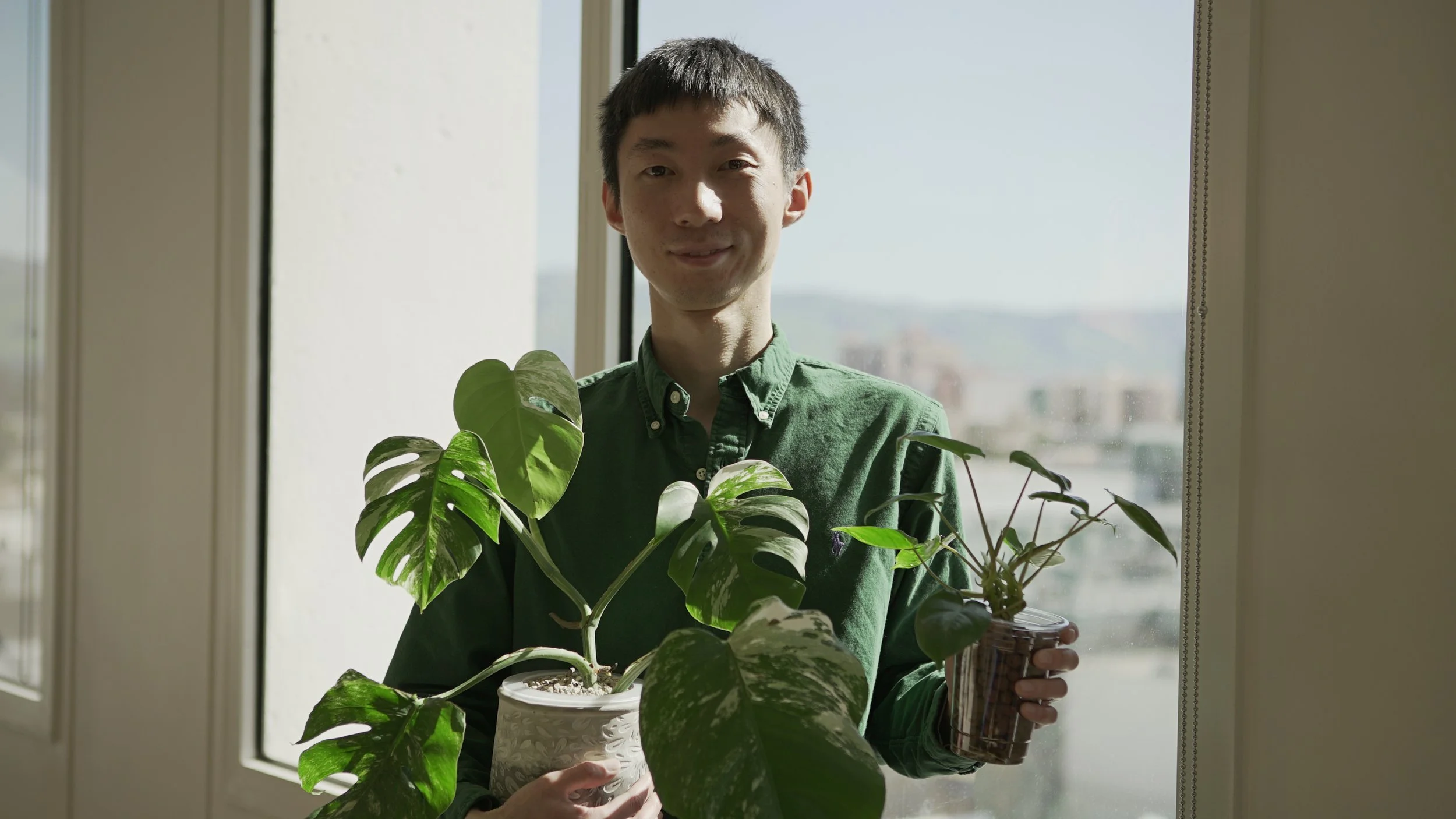 Chen Li: Plant Story