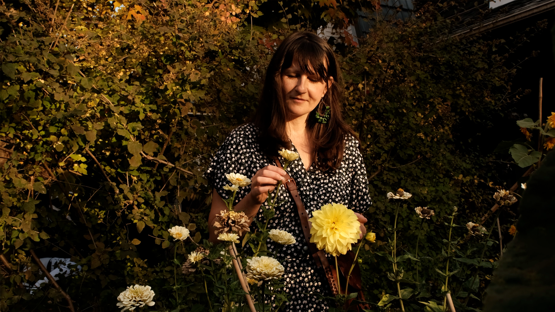 Paula Hartman: Artist 