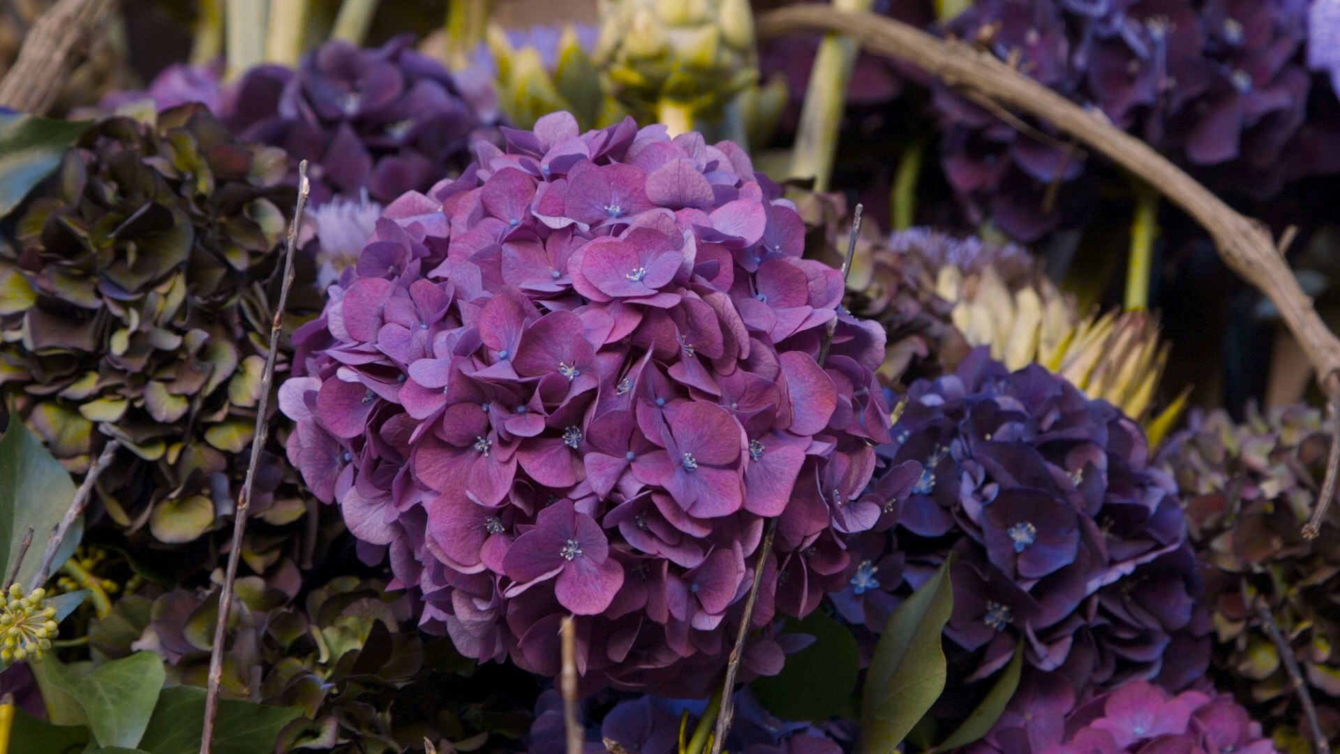 FIELDTRIP: Domaine Chaumont-sur-Loire: Floral Exhibit