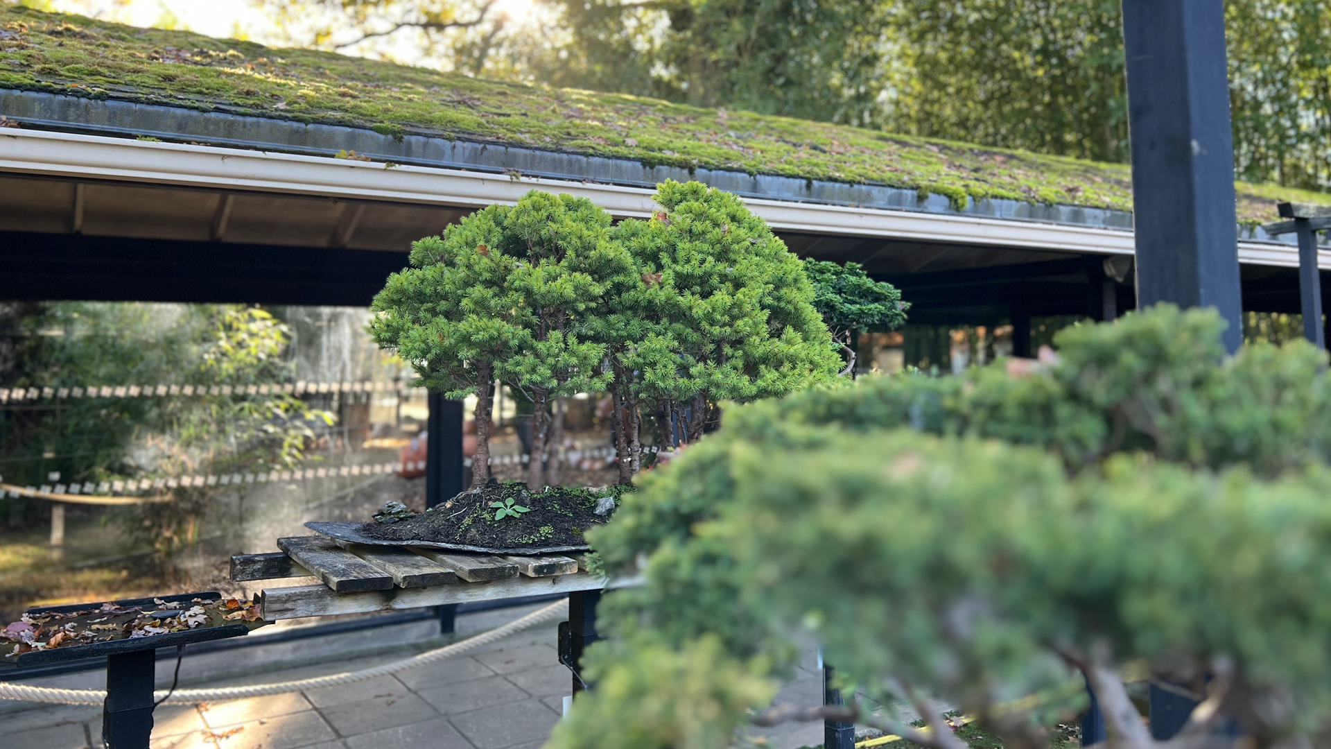 FIELDTRIP: Parc Floral de Paris - Pavilion