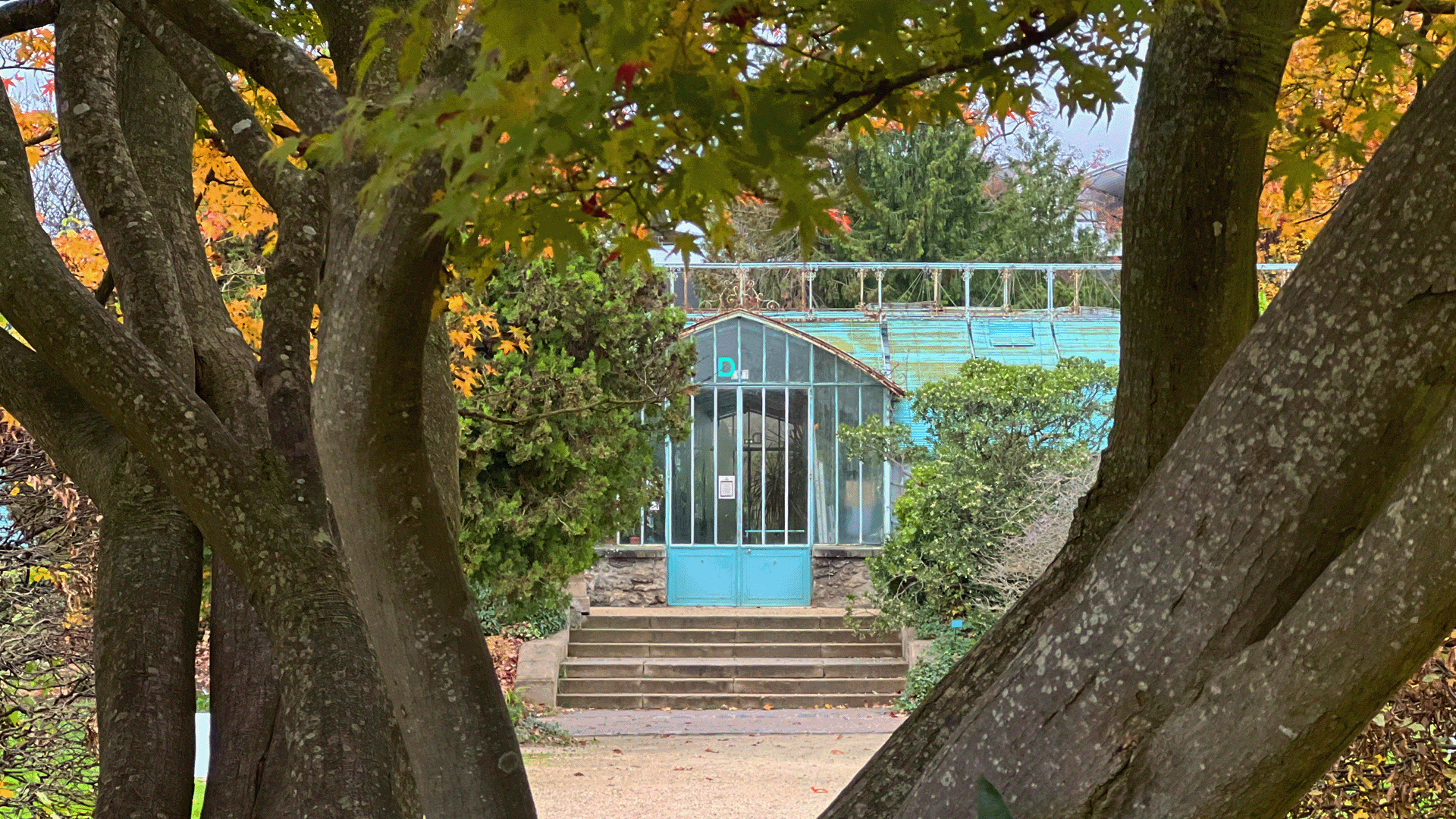 FIELDTRIP: Le Jardin des Serres d'Auteuil Greenhouses