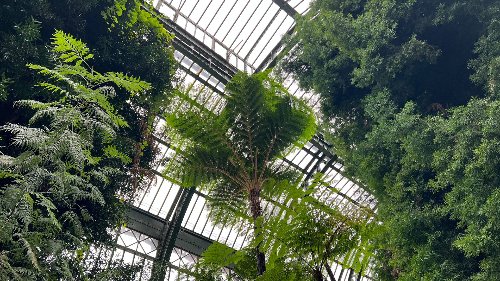 FIELDTRIP: Jardin des Plantes, Greenhouses