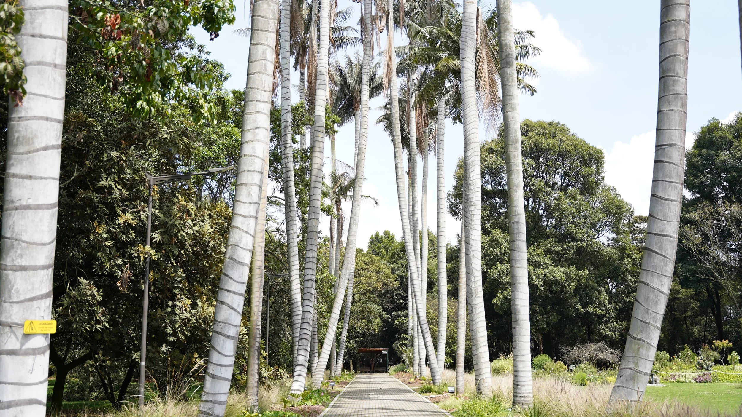 FIELDTRIP: Botanical Gardens of Bogotá