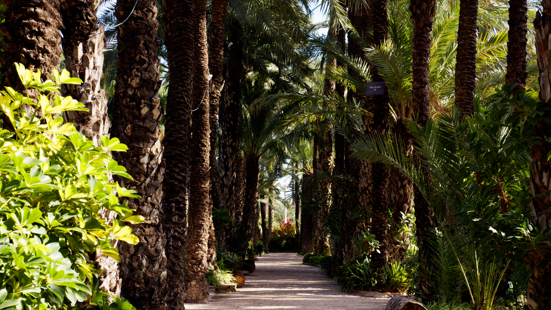 FIELDTRIP: Jardín Huerto del Cura
