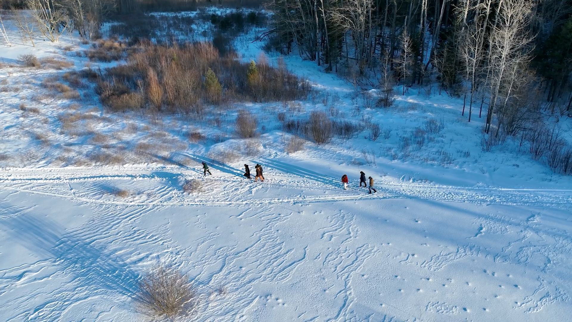 Winter Walkers: The Wild Seed Project