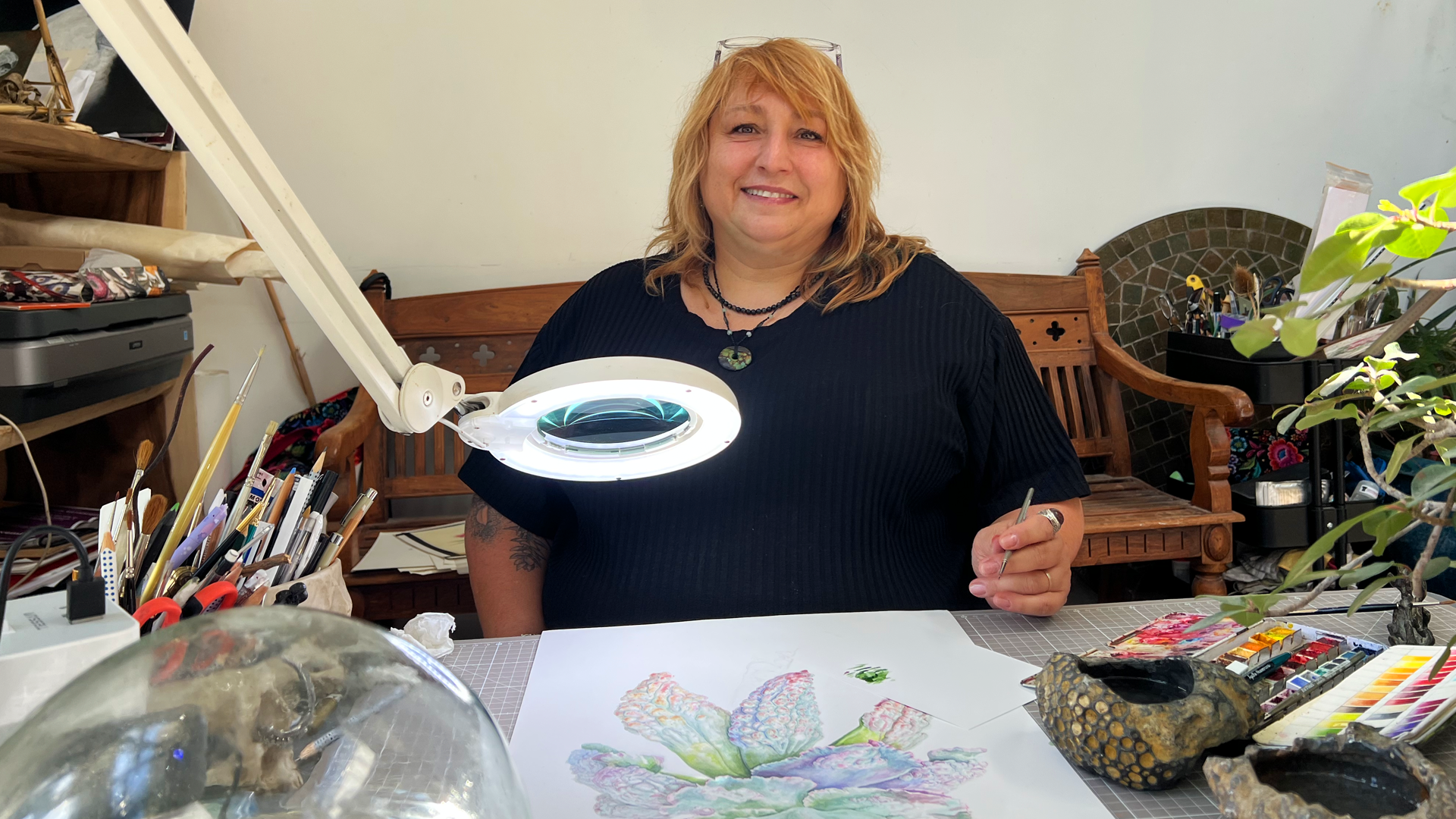 Agathe Haevermans: Scientific Illustrator 