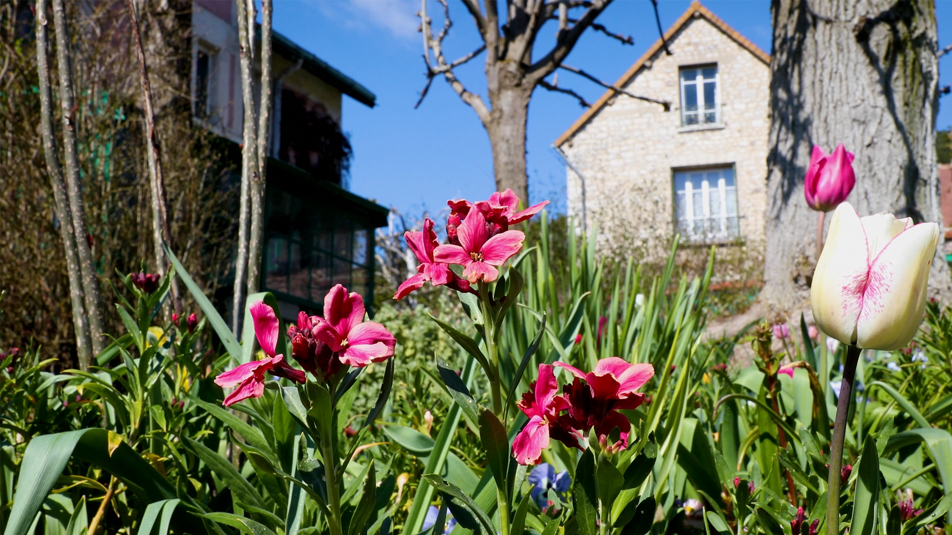 Jean-Marie Avisard: Gardener at the Monet Garden
