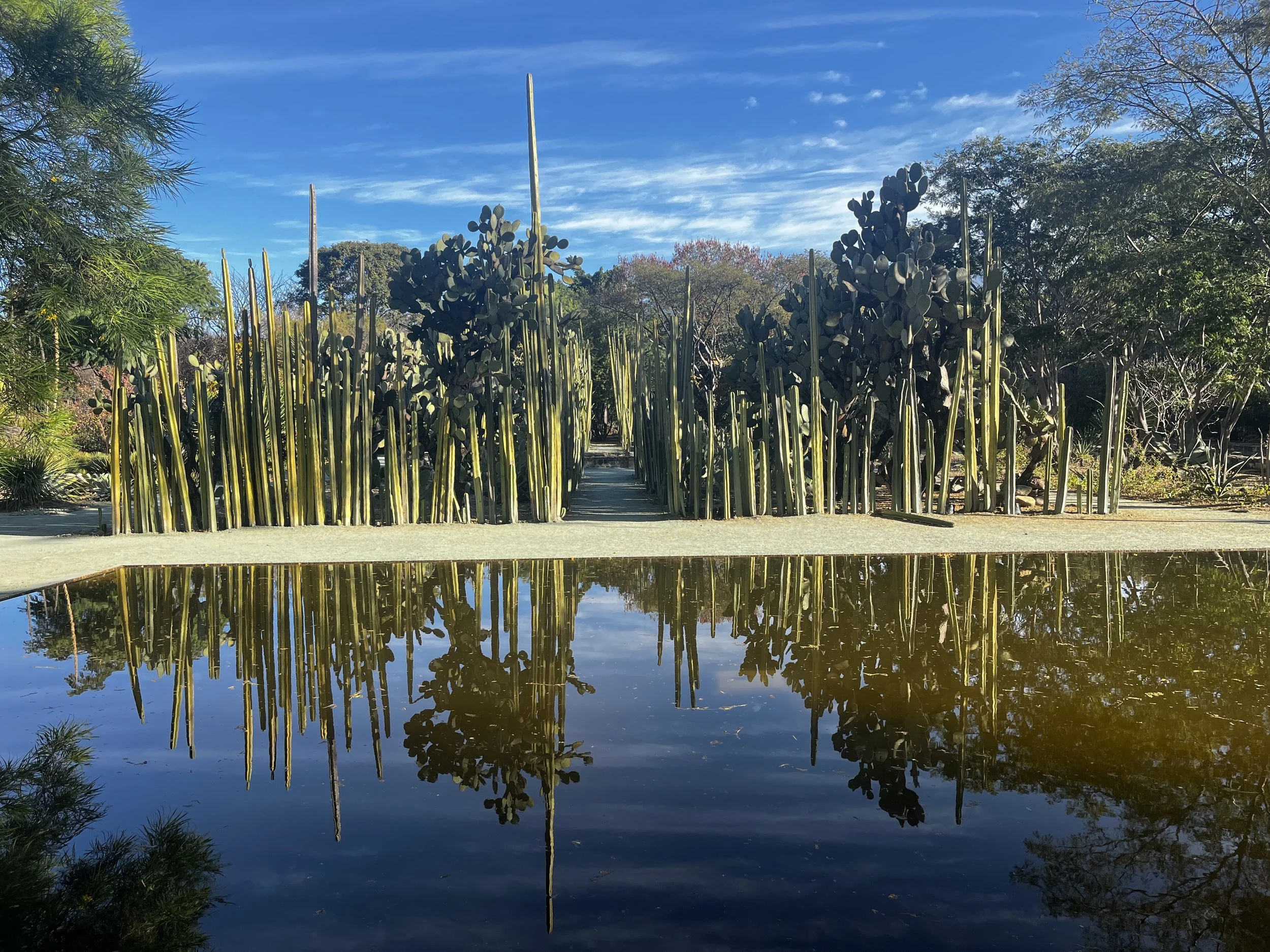 FIELDTRIP: Jardín Etnobiológico de Oaxaca