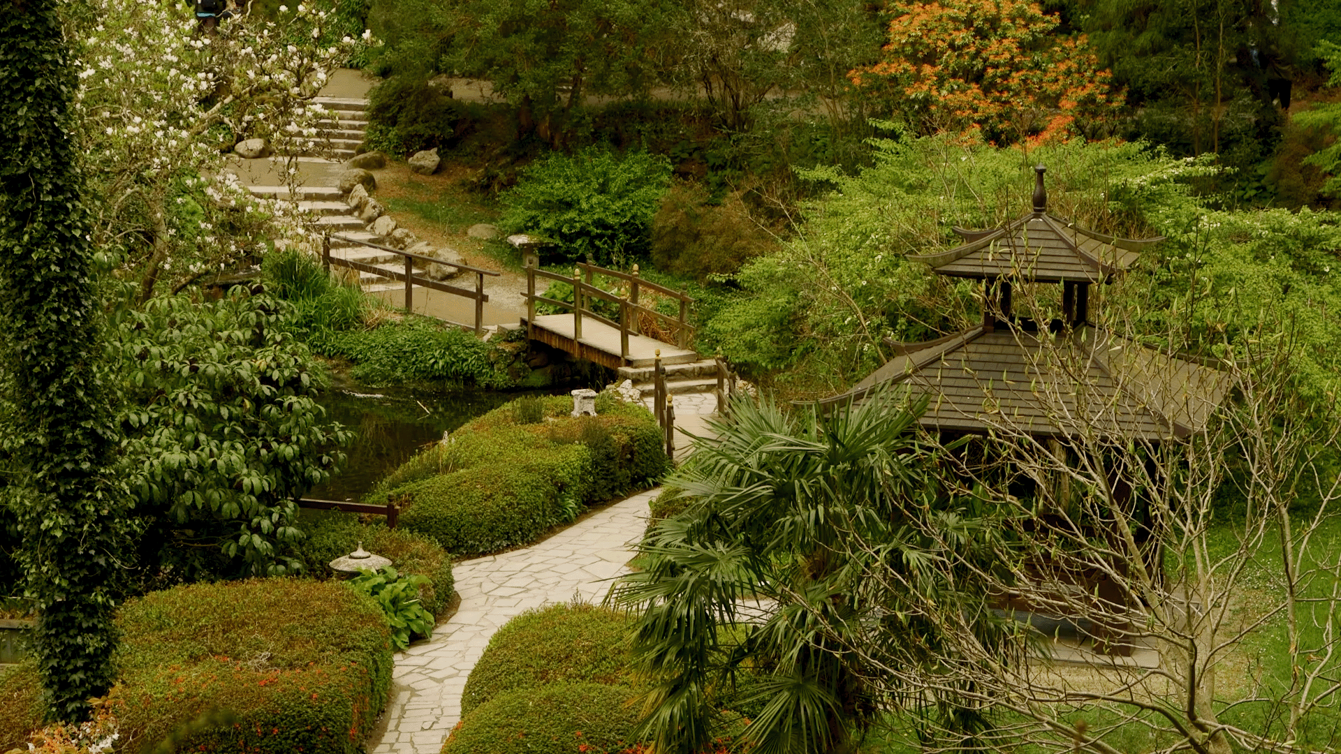 Alex Slazenger: Head Gardener at the Powerscourt Estate