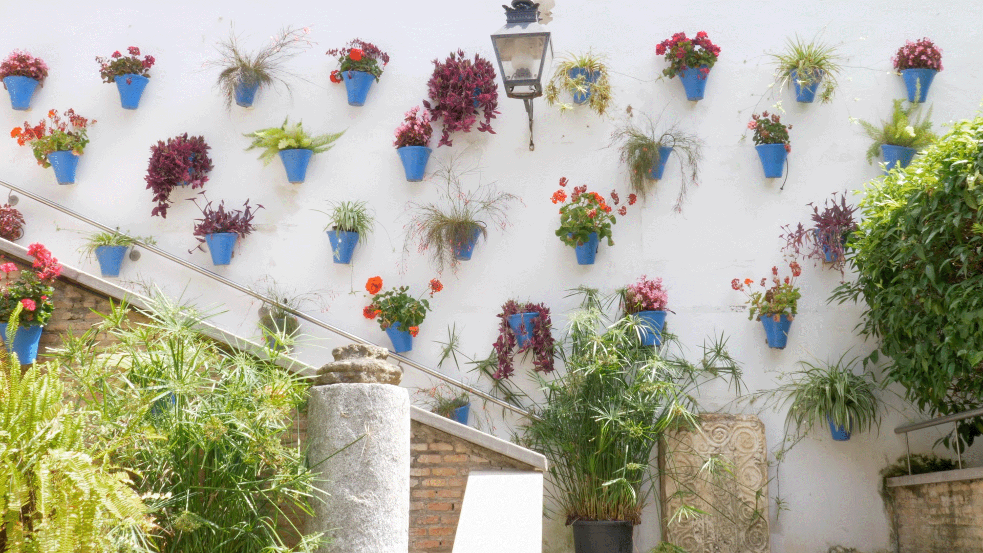 FIELDTRIP: Courtyards Festival of Córdoba