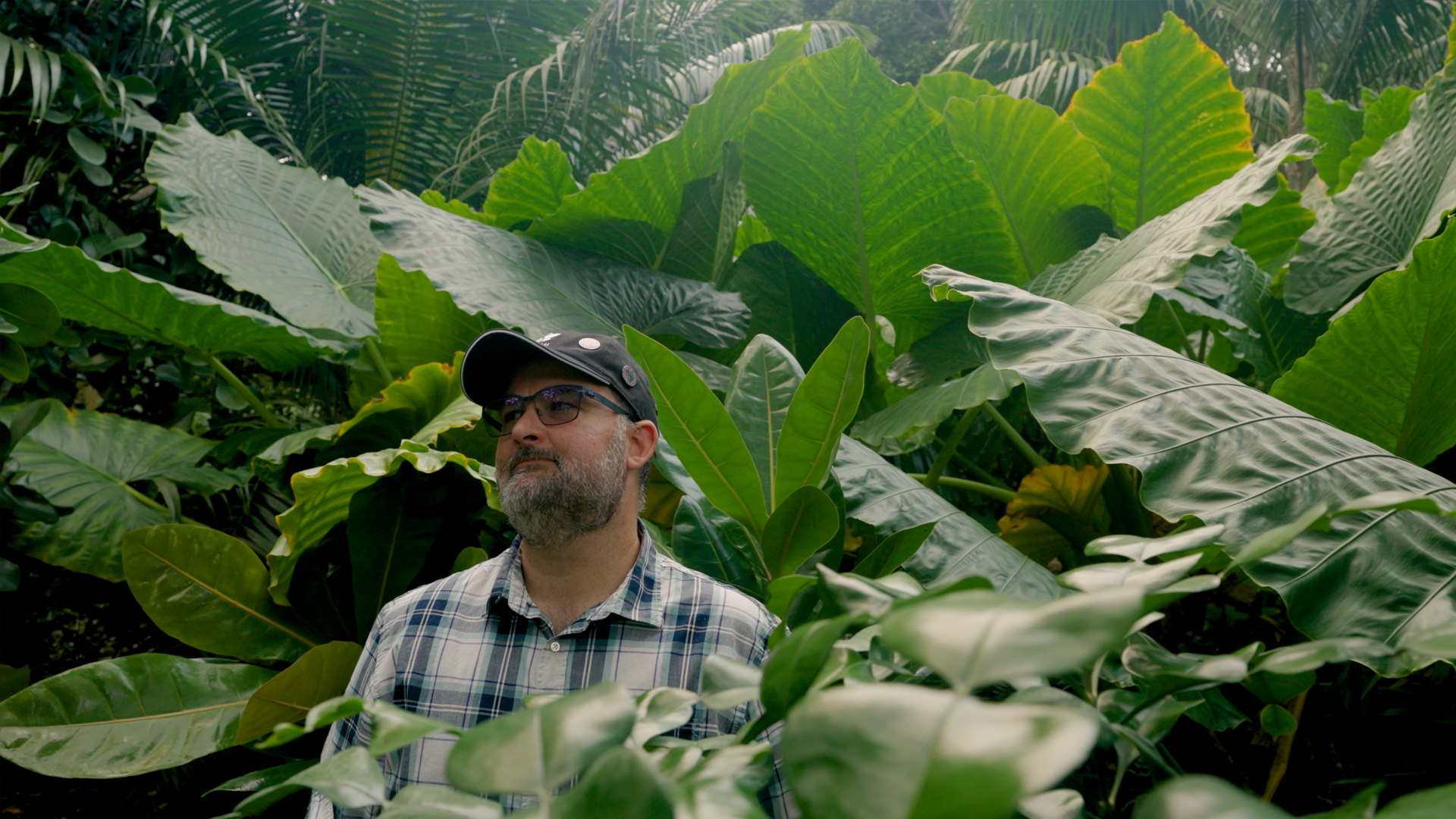 Bartholomew Motes: Rare Plant and Orchid Festival Organizer