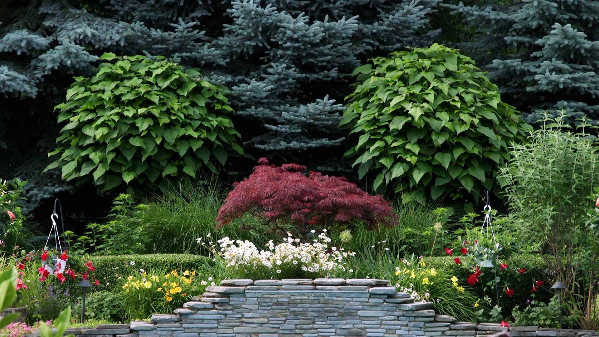 Pam Weinrieb:  Family Garden