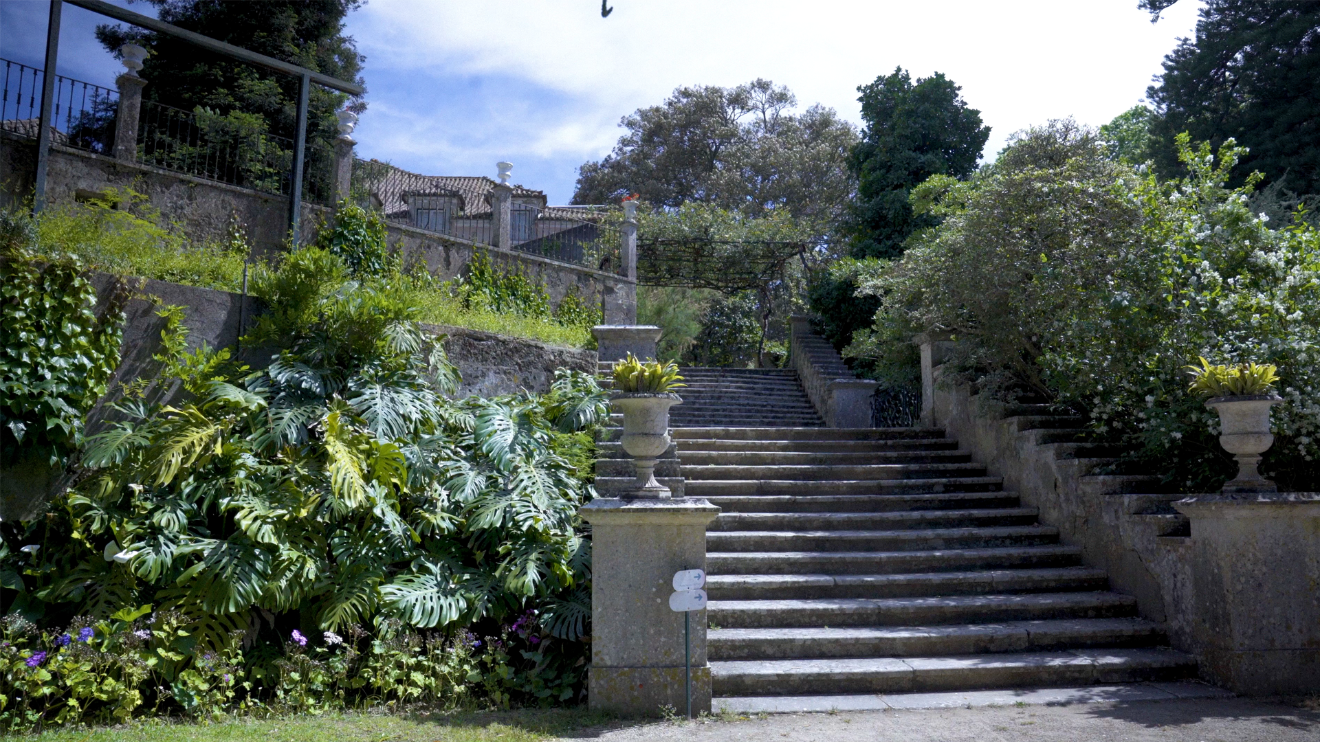 FIELDTRIP: Monteiro-Mor Botanical Park