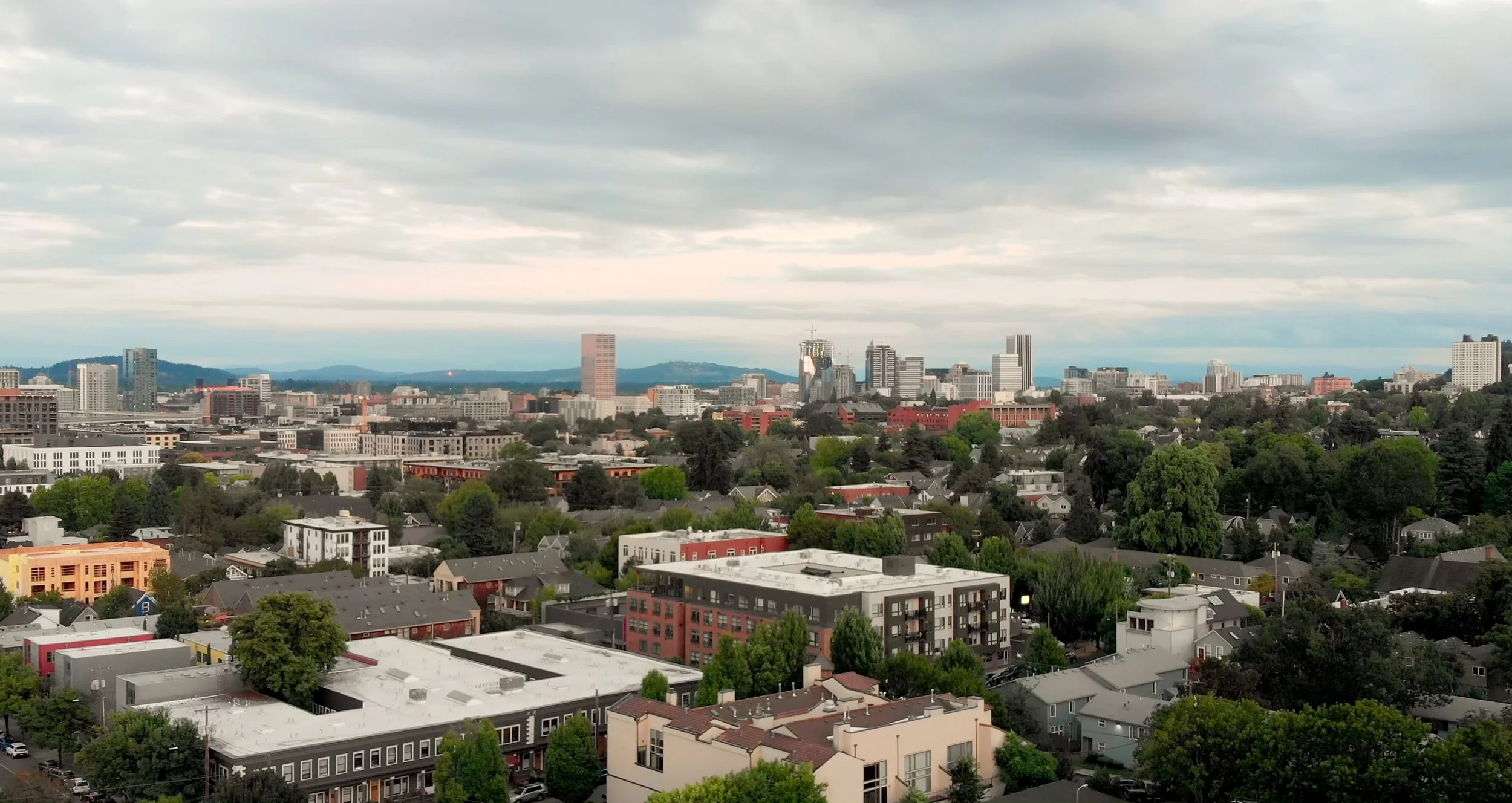 PNW SCREENGRABS2.jpg