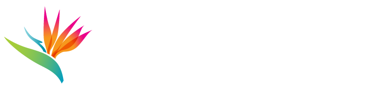 Medical Travel Option