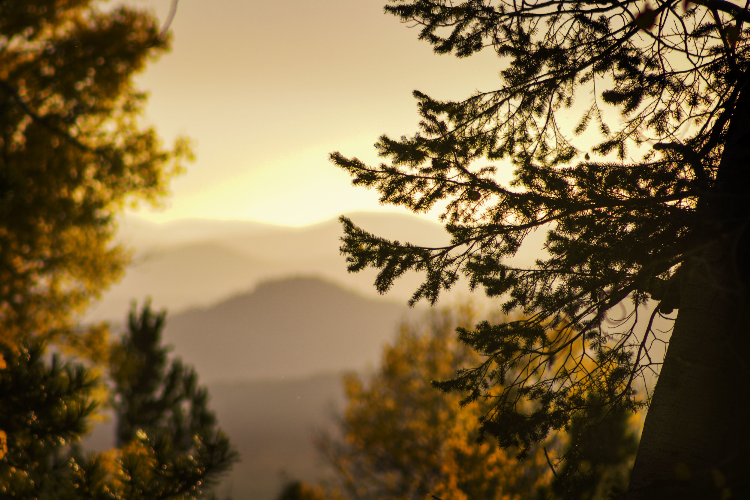 Fall Colors.jpg