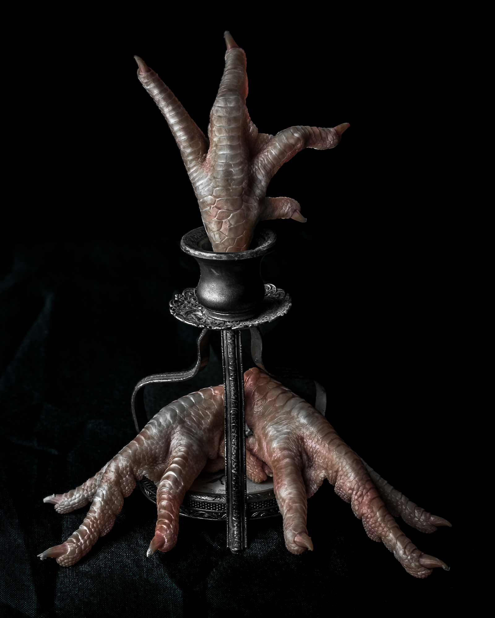 Still life: candle holder with chicken feet.