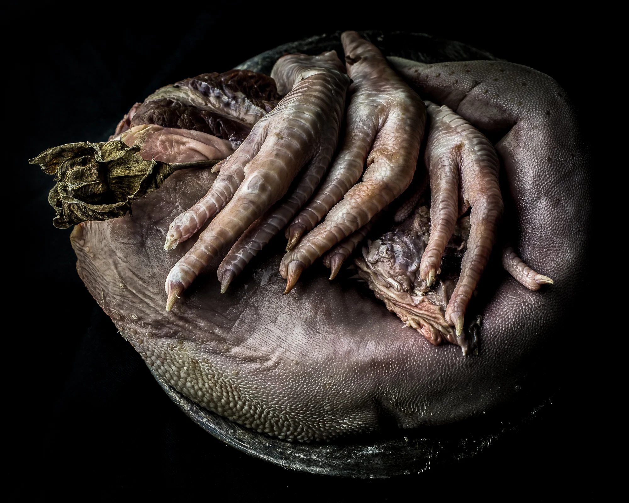 Dead flower with chicken feet and cow tongue.