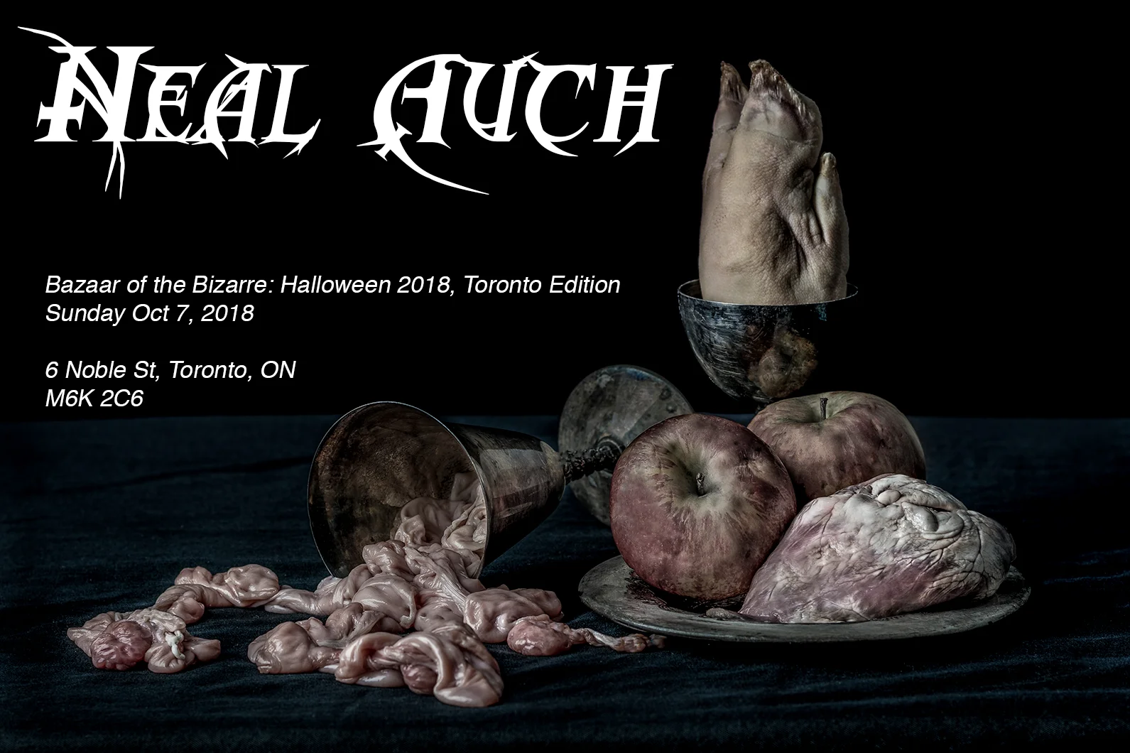 bazaar-toronto-neal-auch-banner.jpg