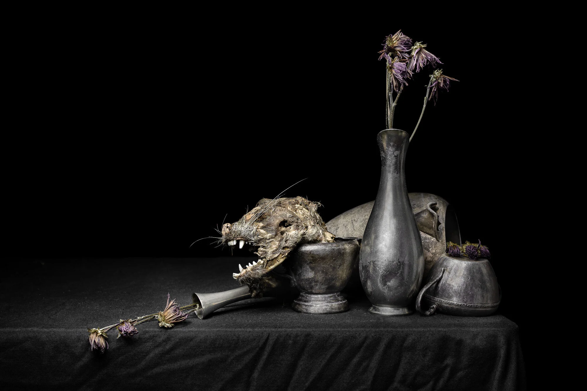 Still Life with Raccoon Head and Dead Violets